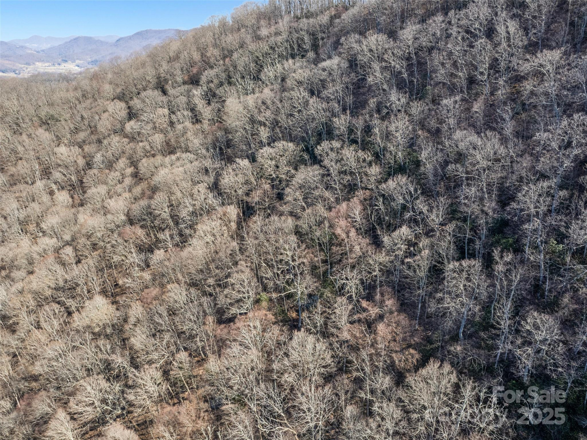 00 Apple Creek Road - Photo 4