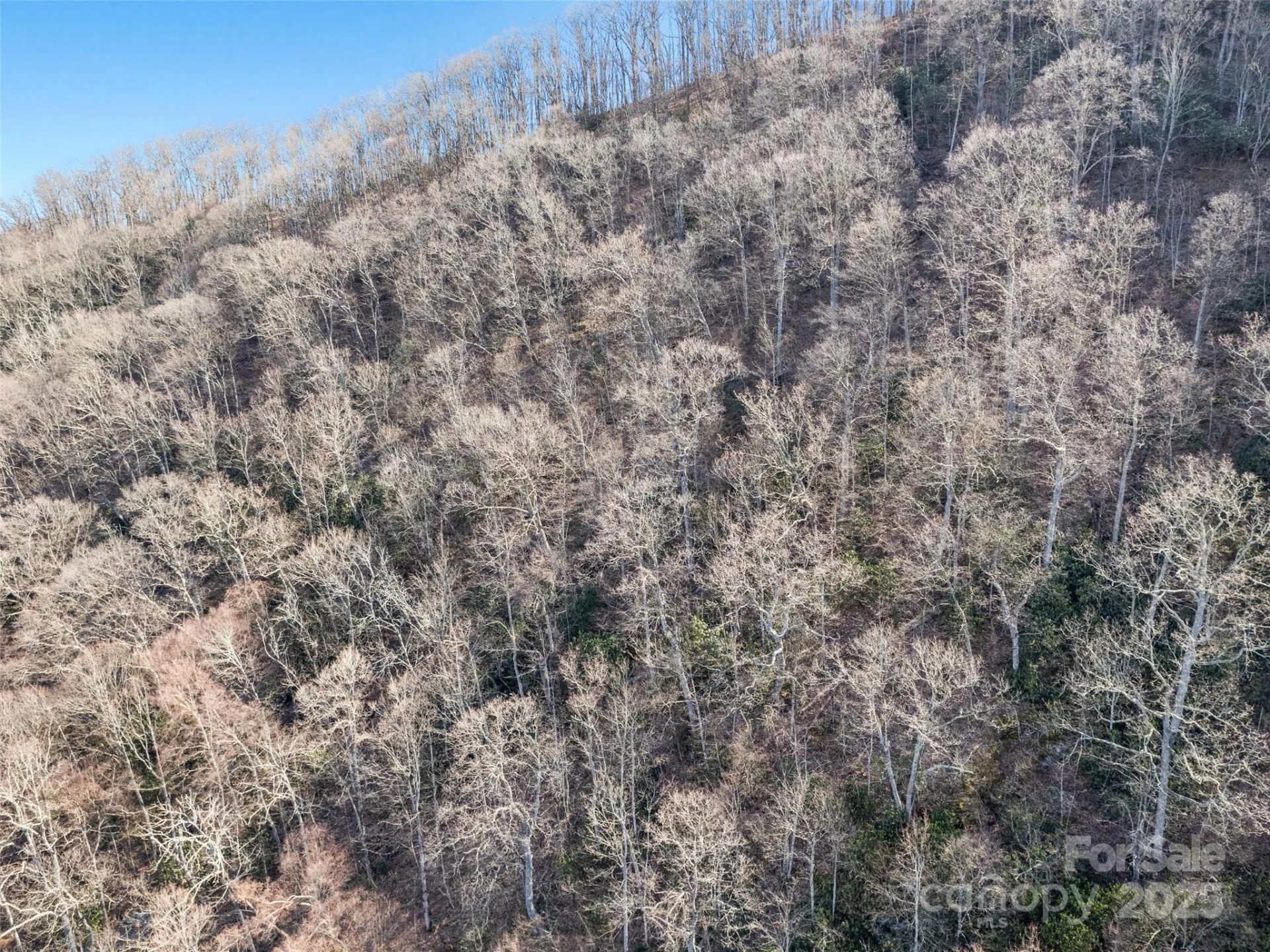 00 Apple Creek Road - Photo 6
