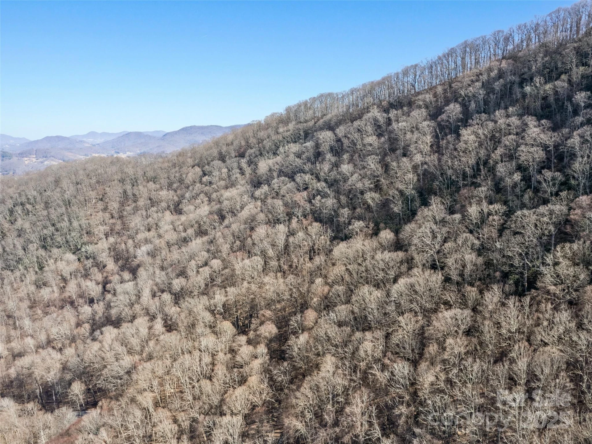00 Apple Creek Road - Photo 7