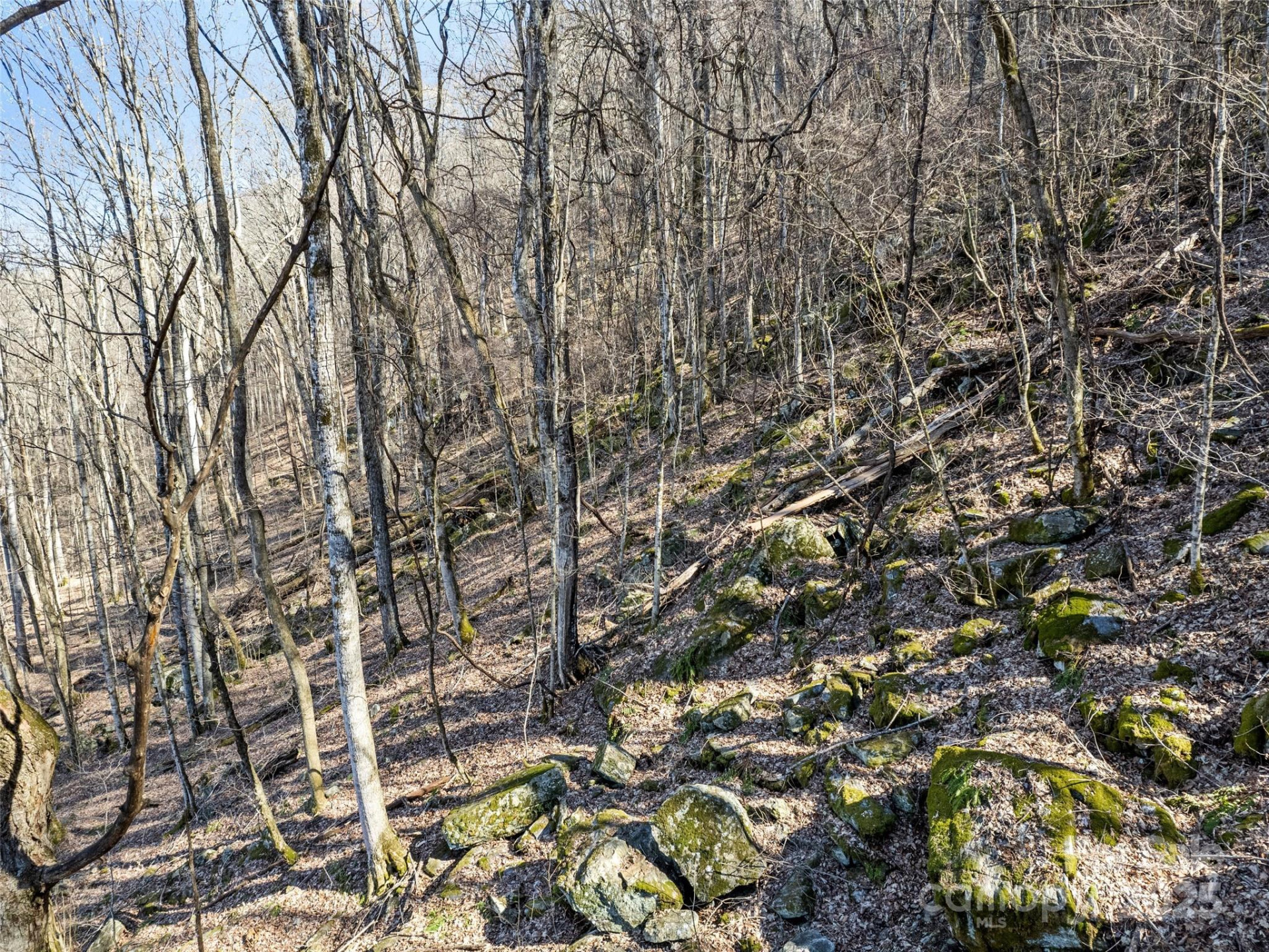 00 Apple Creek Road - Photo 8