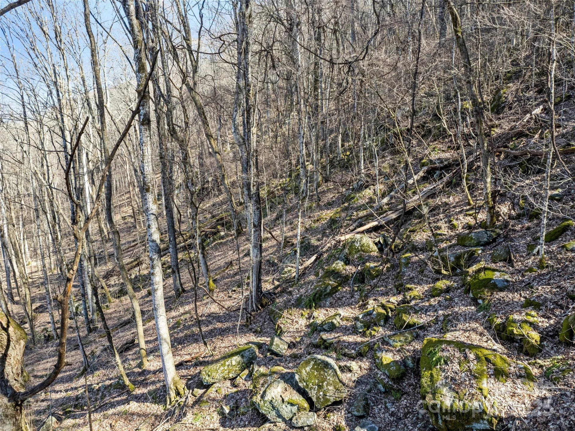 00 Apple Creek Road - Photo 8