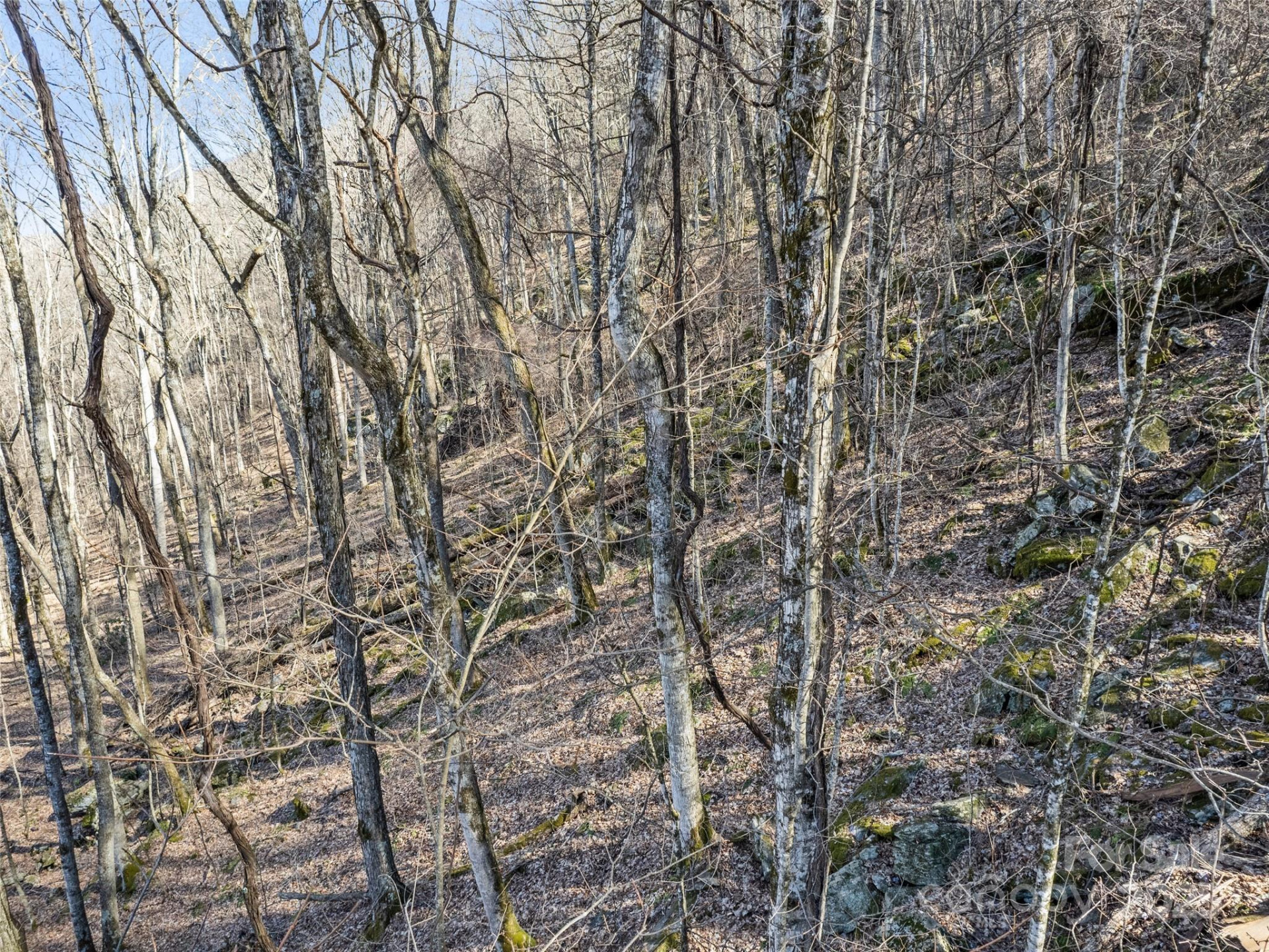 00 Apple Creek Road - Photo 9