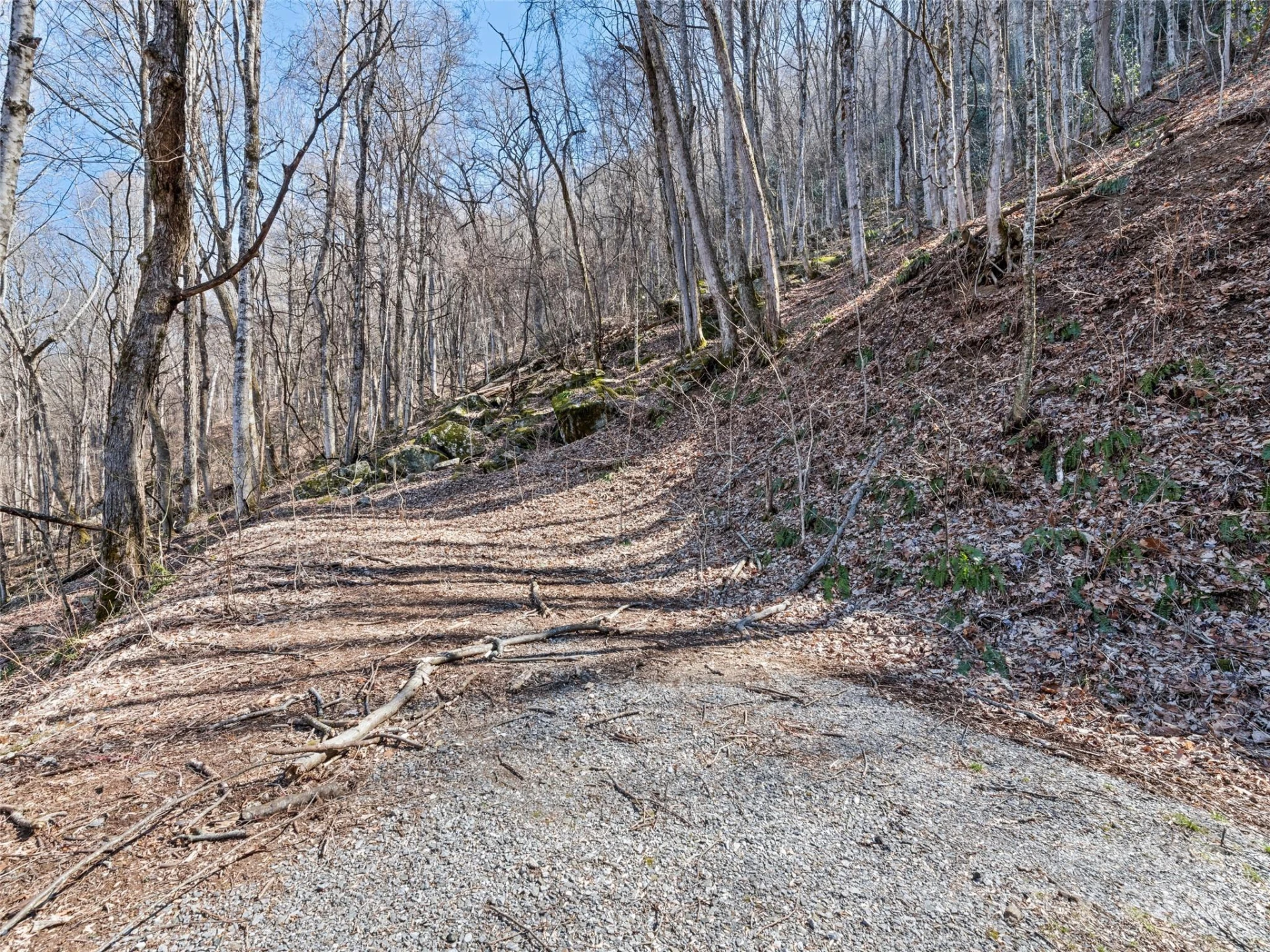 00 Apple Creek Road - Photo 10