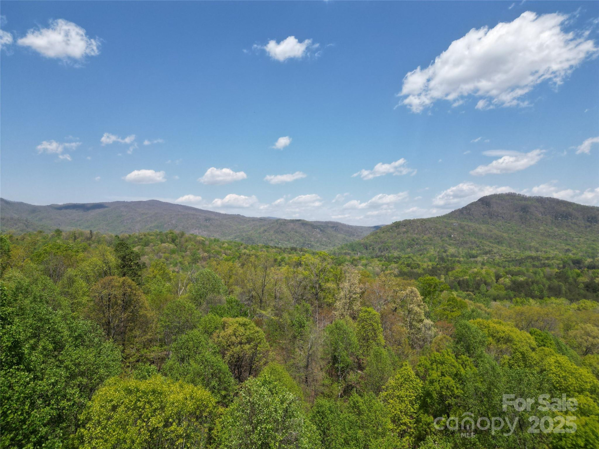 Lot 36 Turkey Fall Lane