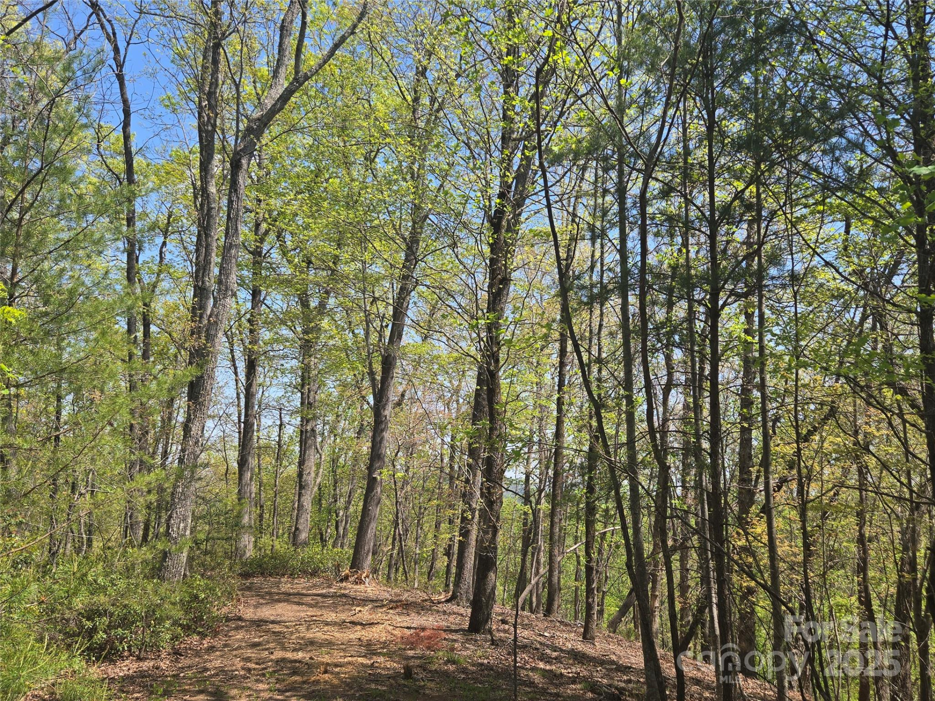 Lot 36 Turkey Fall Lane - Photo 2