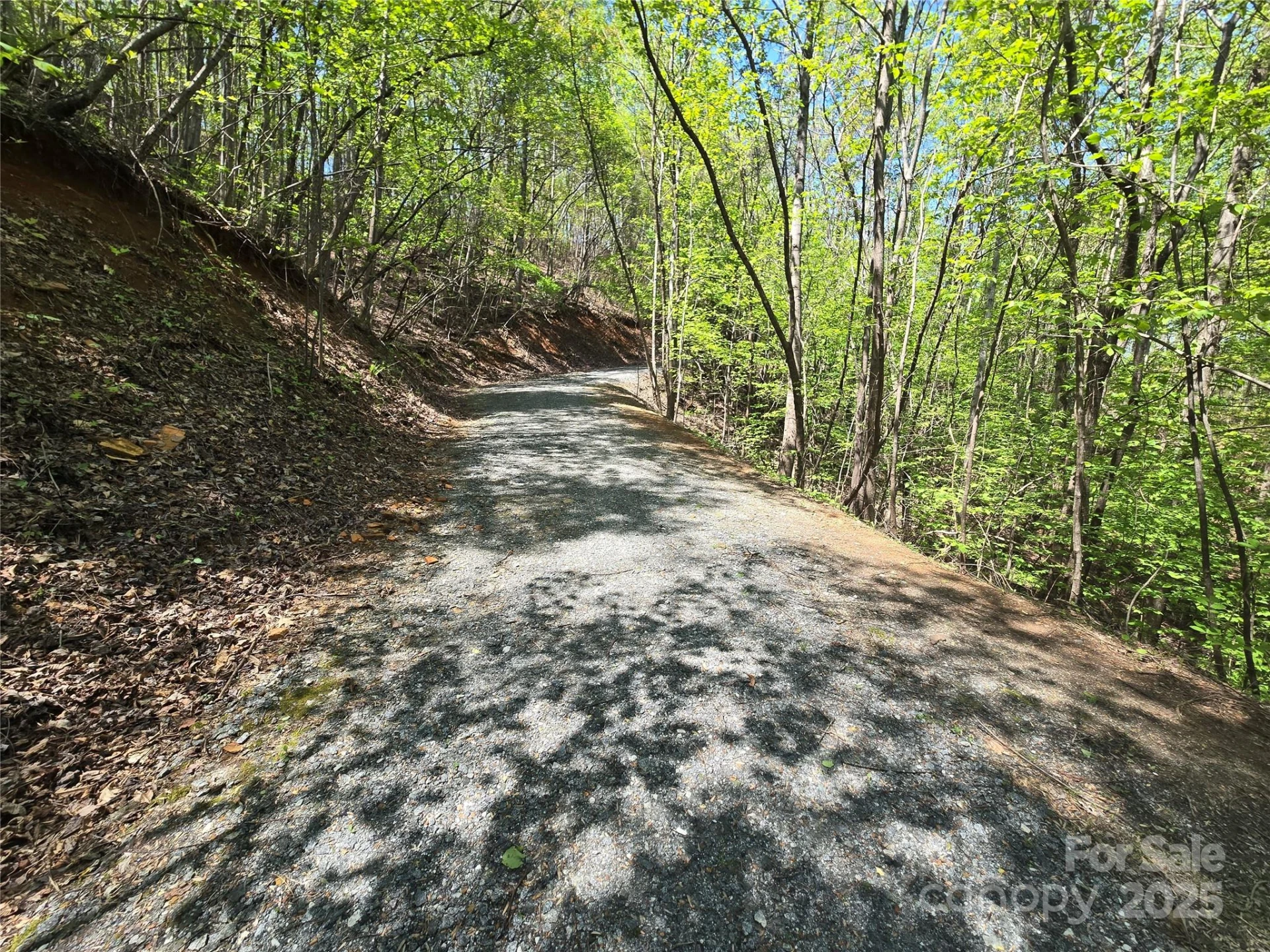 Lot 36 Turkey Fall Lane - Photo 11