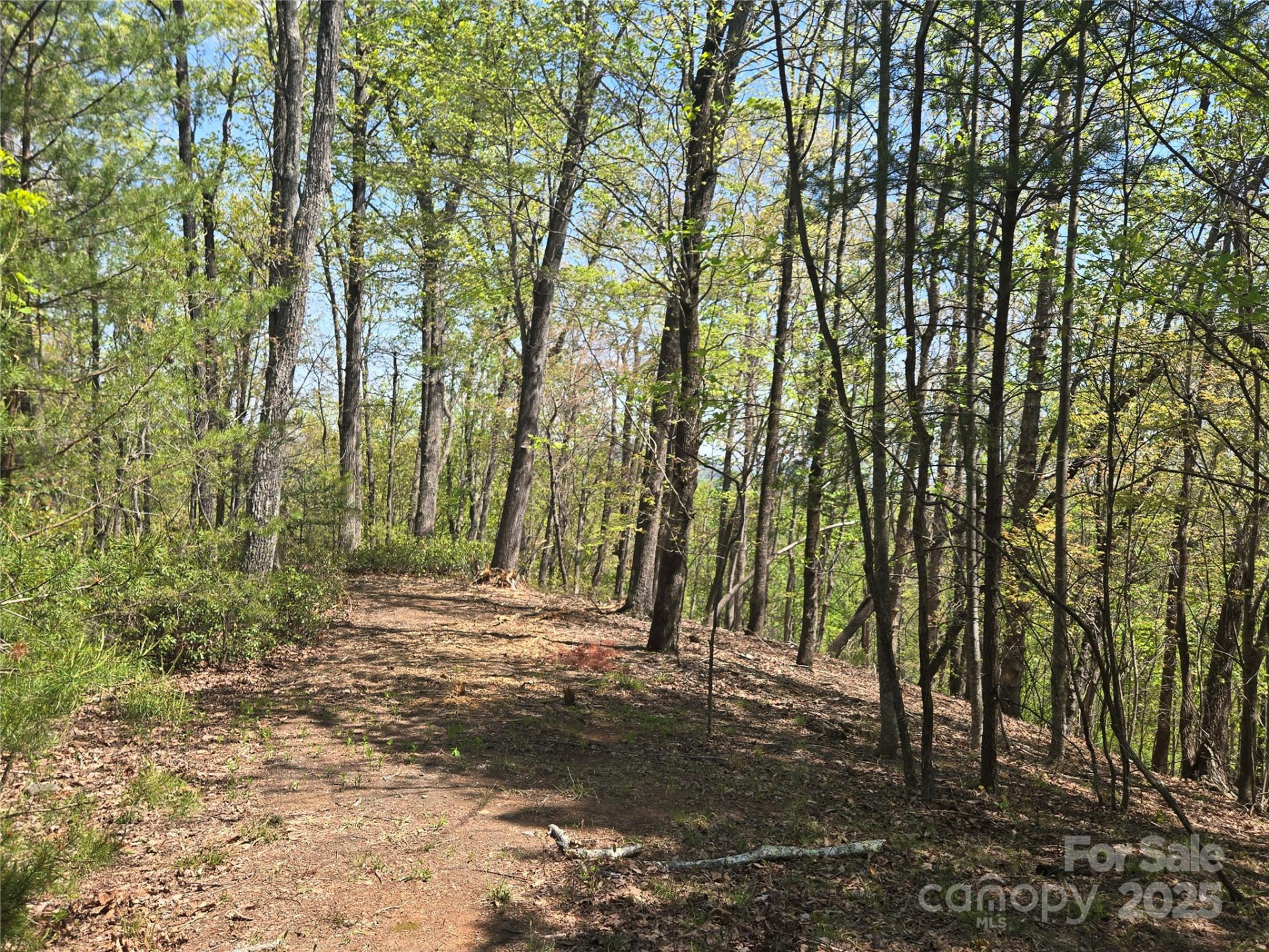 Lot 36 Turkey Fall Lane - Photo 12