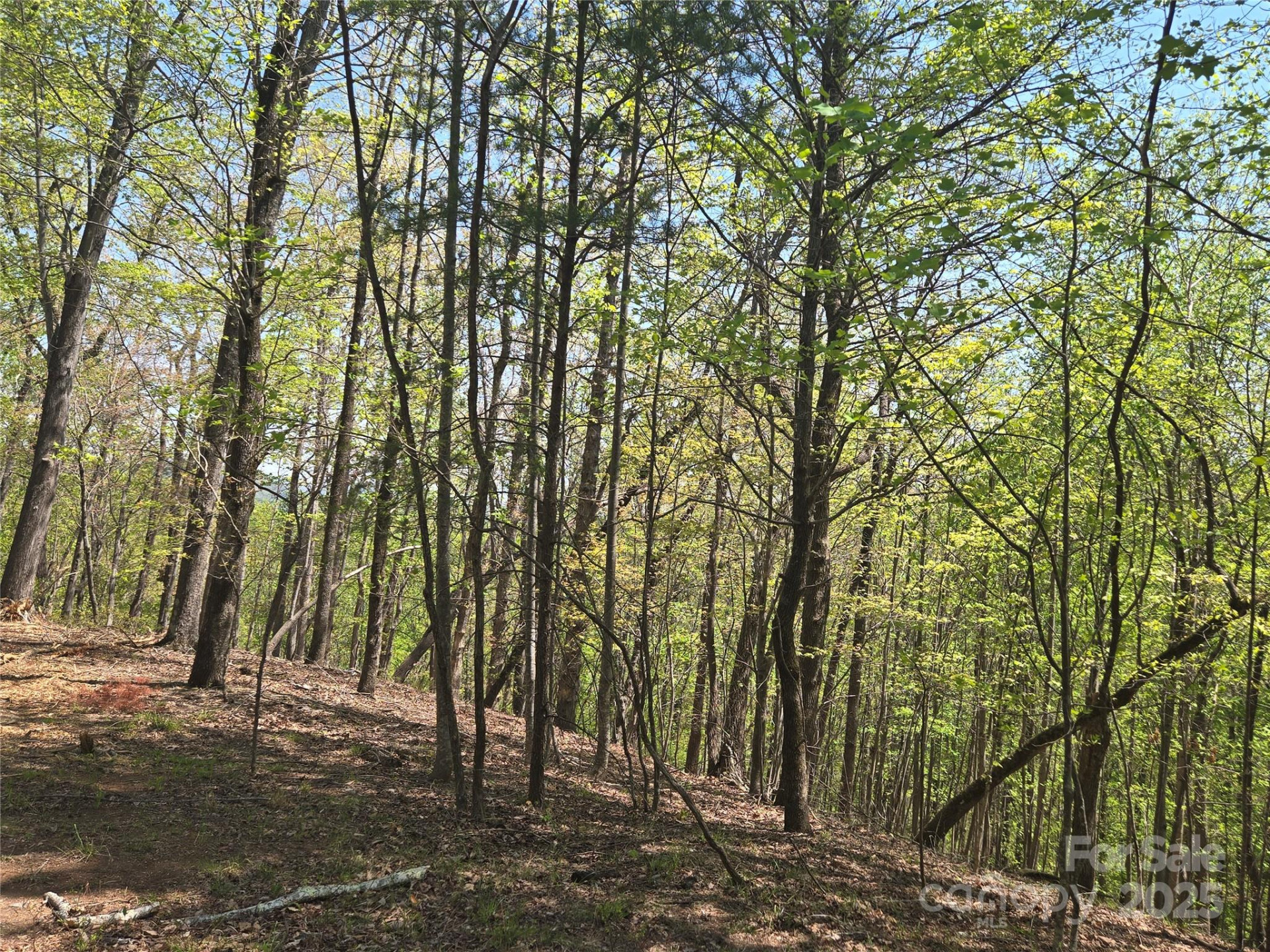 Lot 36 Turkey Fall Lane - Photo 13