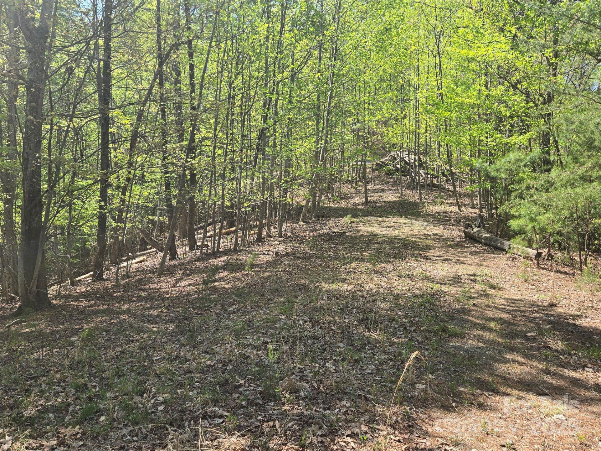 Lot 36 Turkey Fall Lane - Photo 14