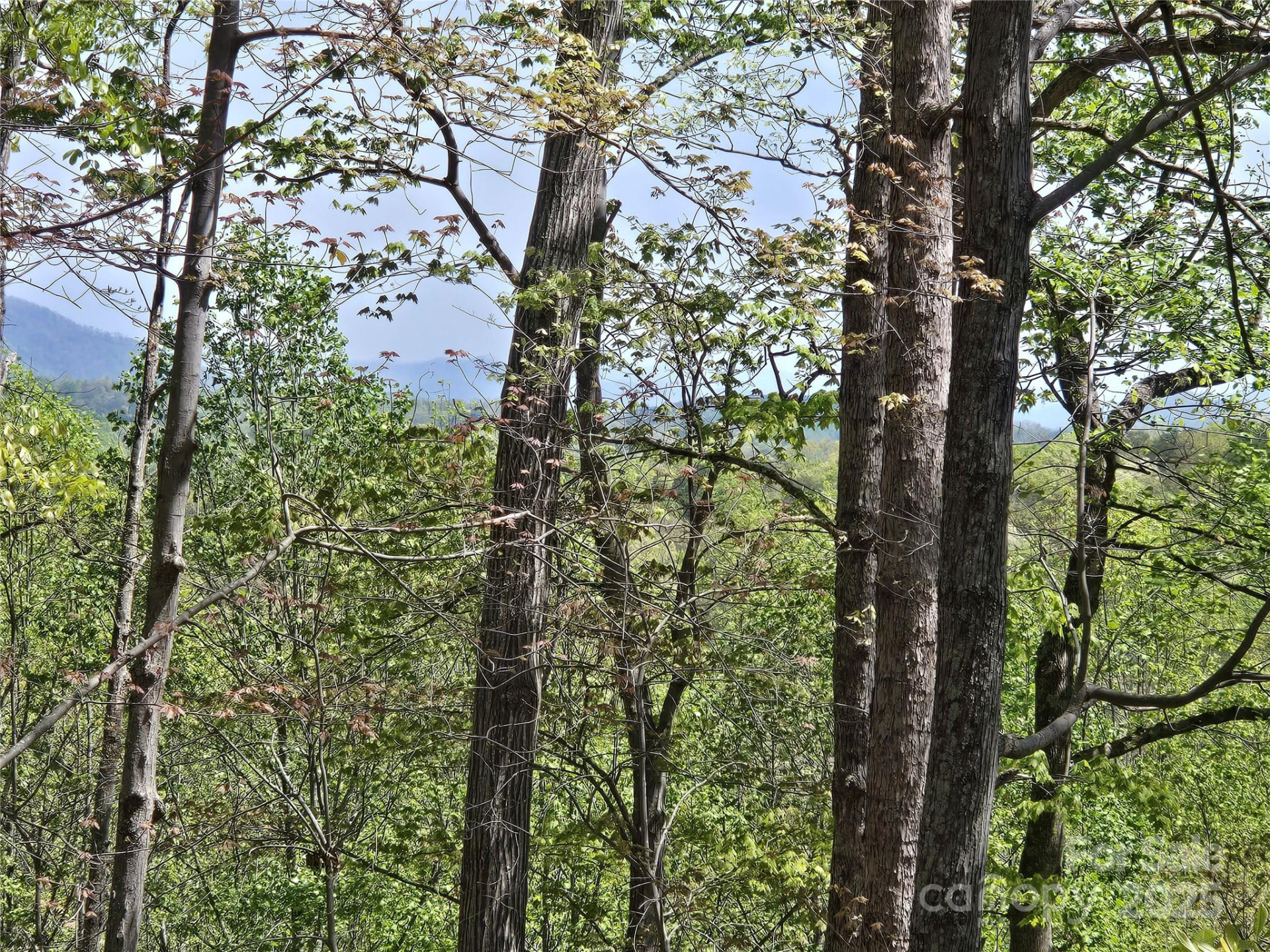 Lot 36 Turkey Fall Lane - Photo 5