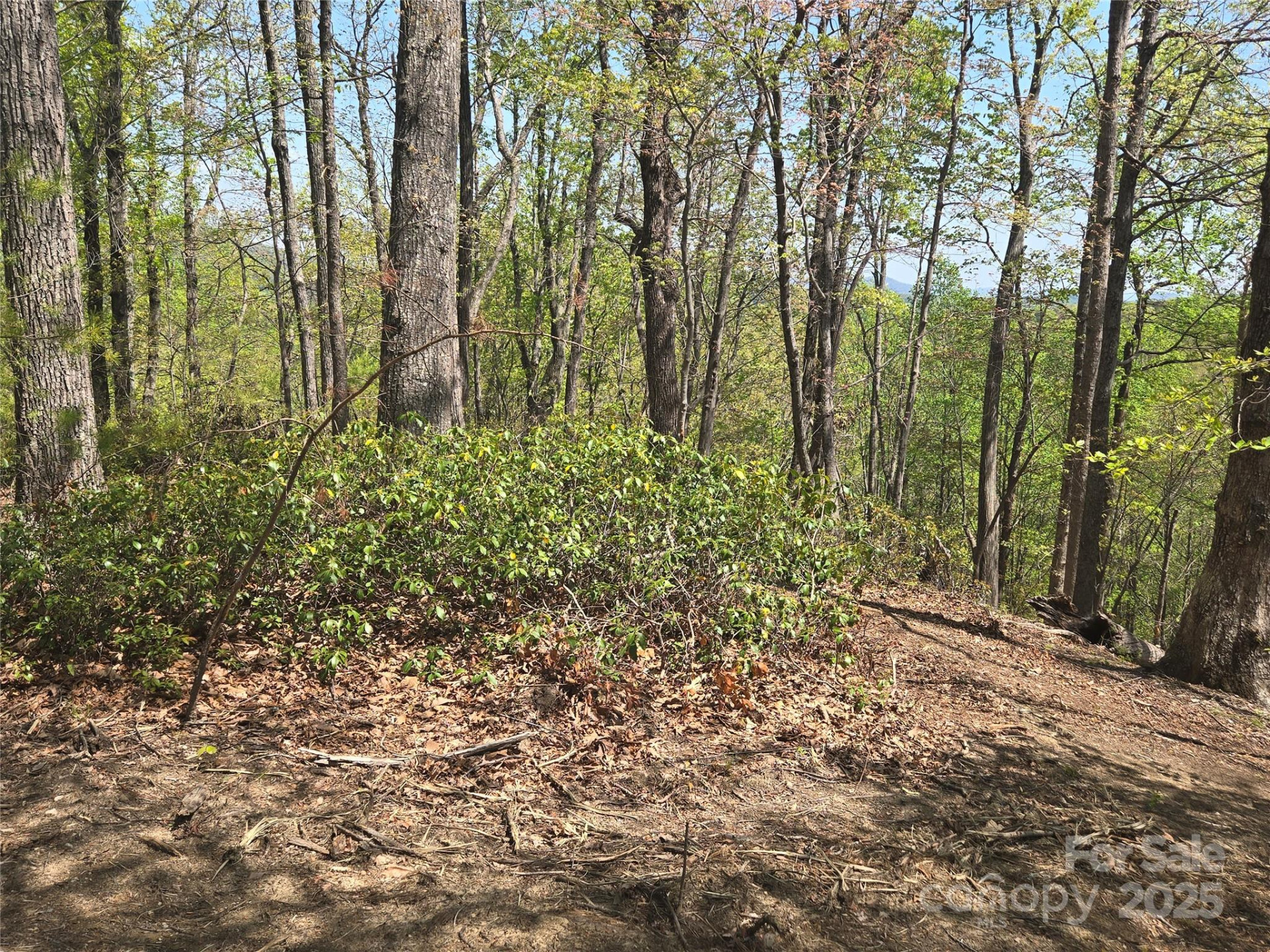 Lot 36 Turkey Fall Lane - Photo 6