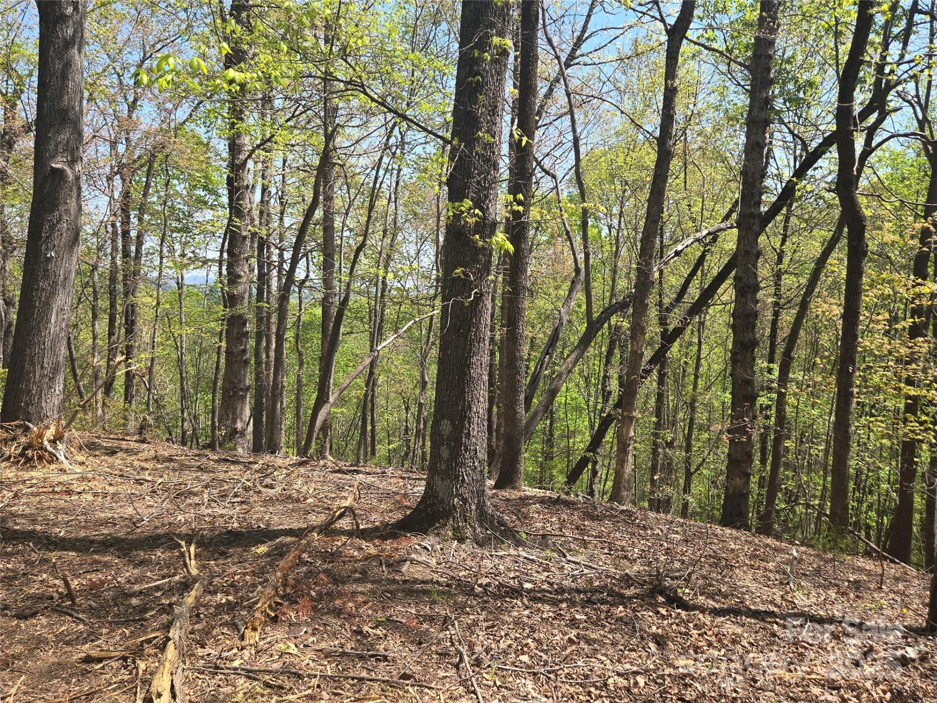 Lot 36 Turkey Fall Lane - Photo 7