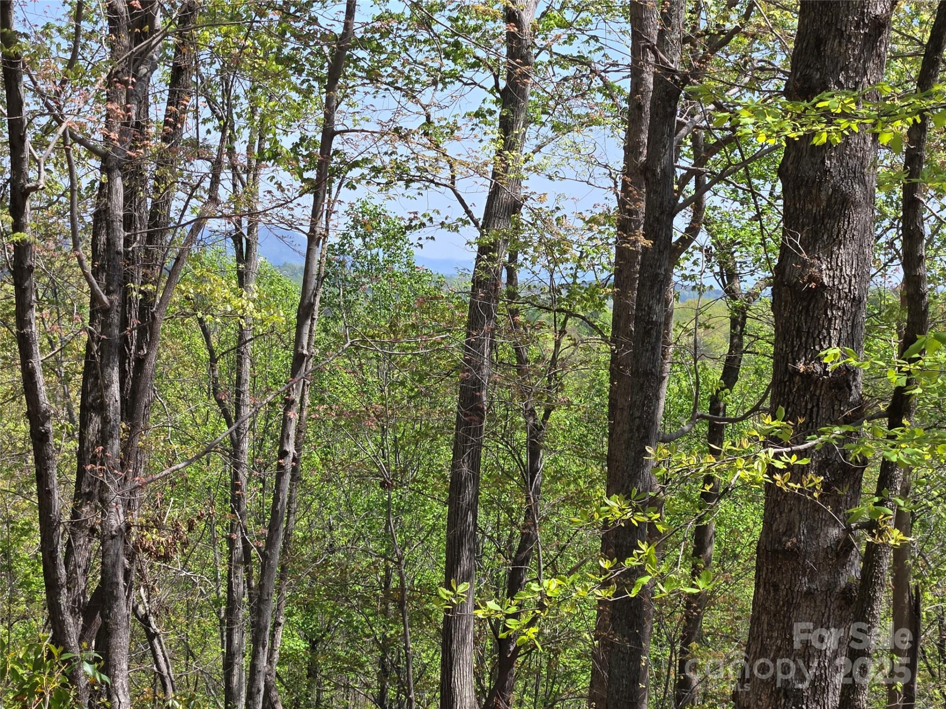 Lot 36 Turkey Fall Lane - Photo 8