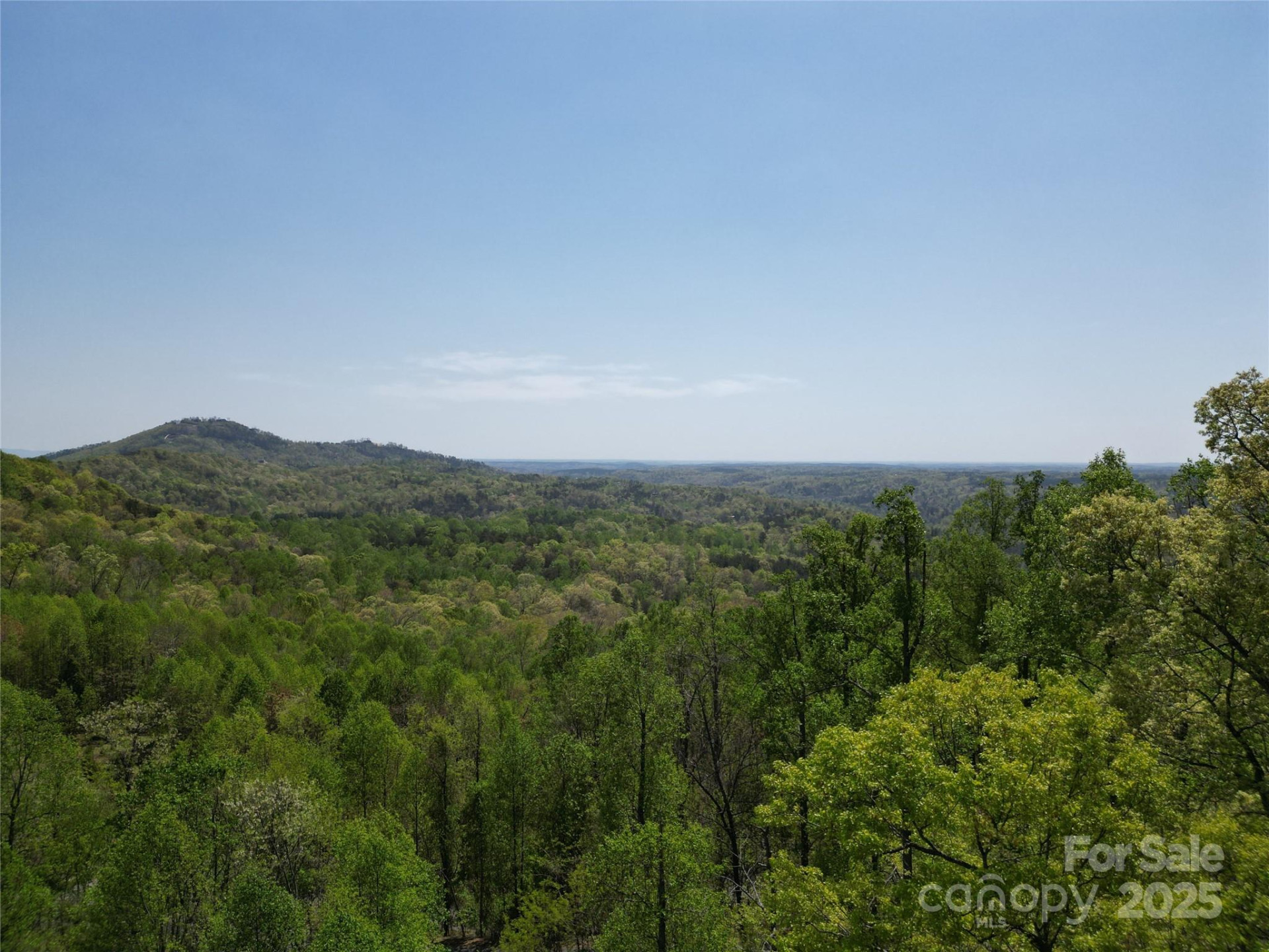 Lot 36 Turkey Fall Lane - Photo 10