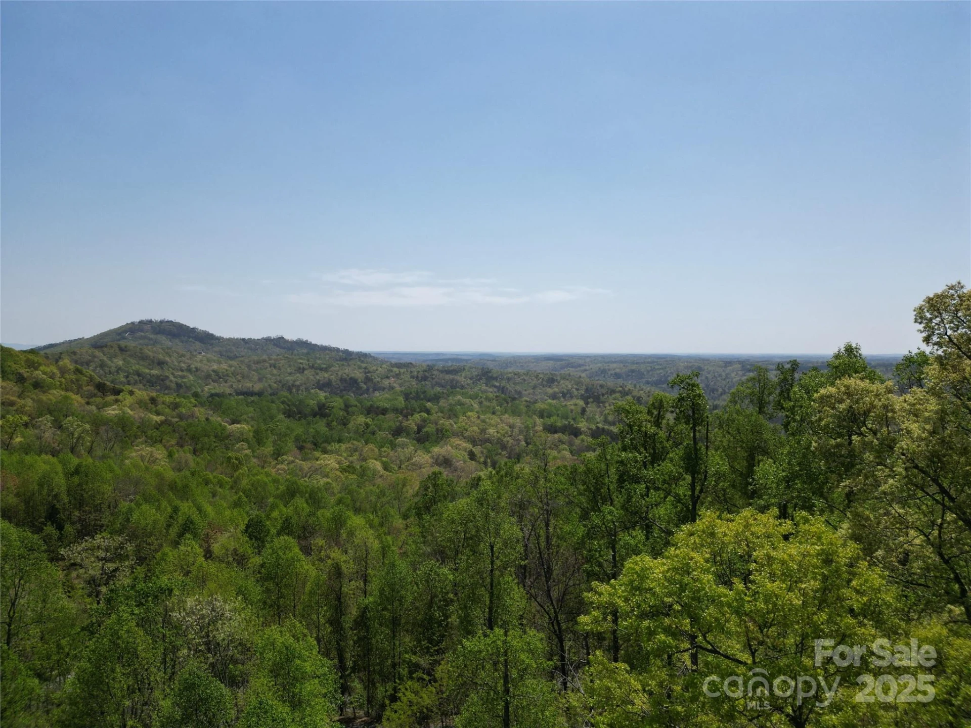 Lot 36 Turkey Fall Lane - Photo 10