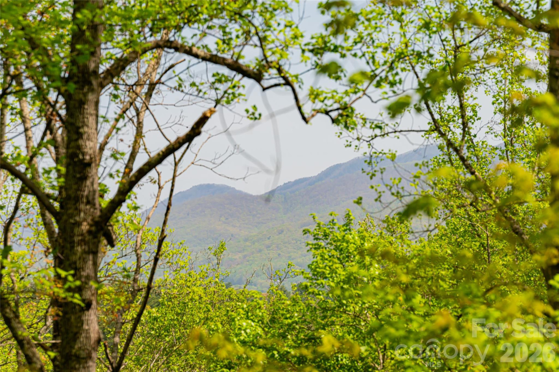 26 Hickory Top Lane - Photo 43