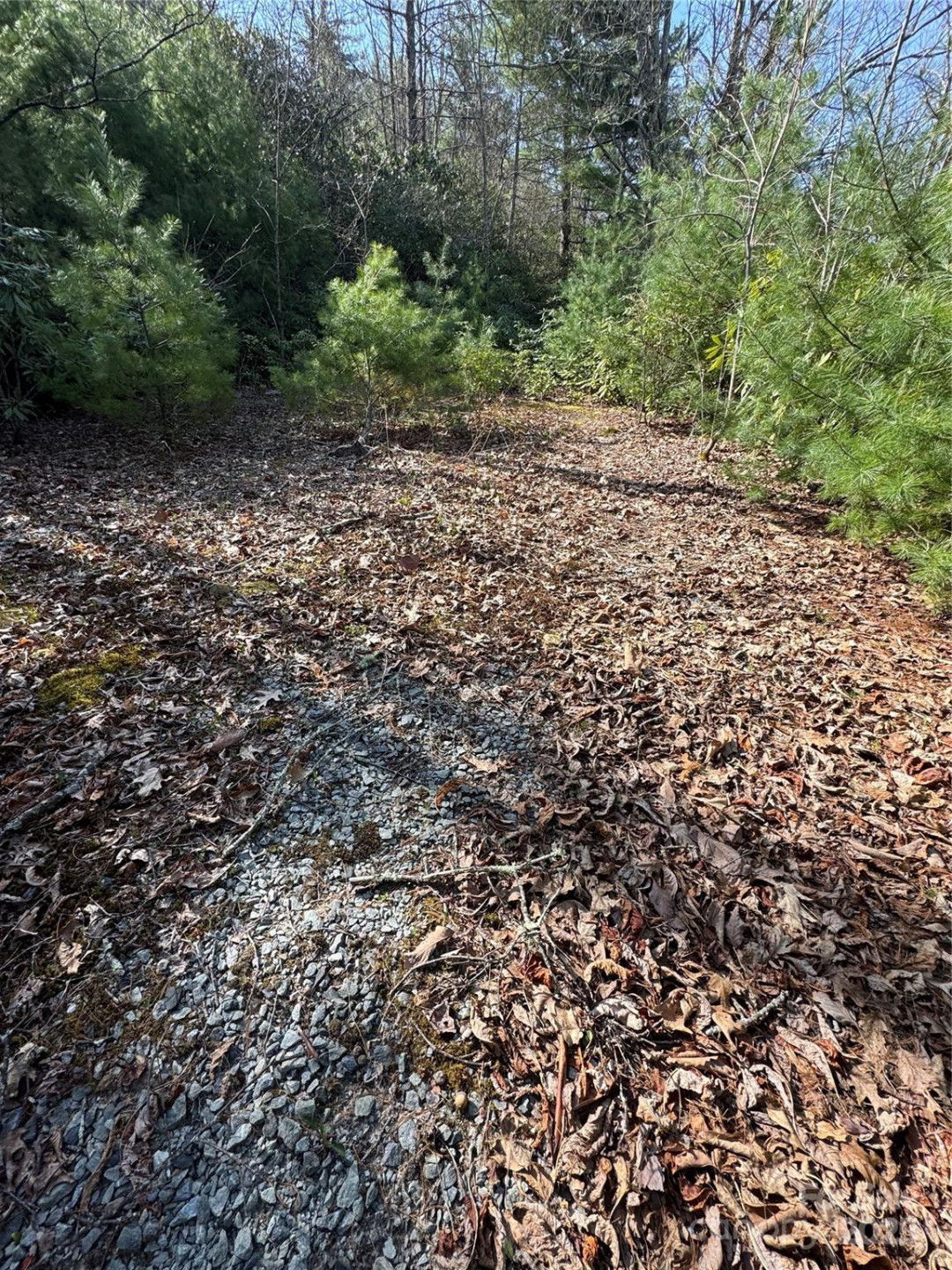 7797 Huskins Drive - Photo 2