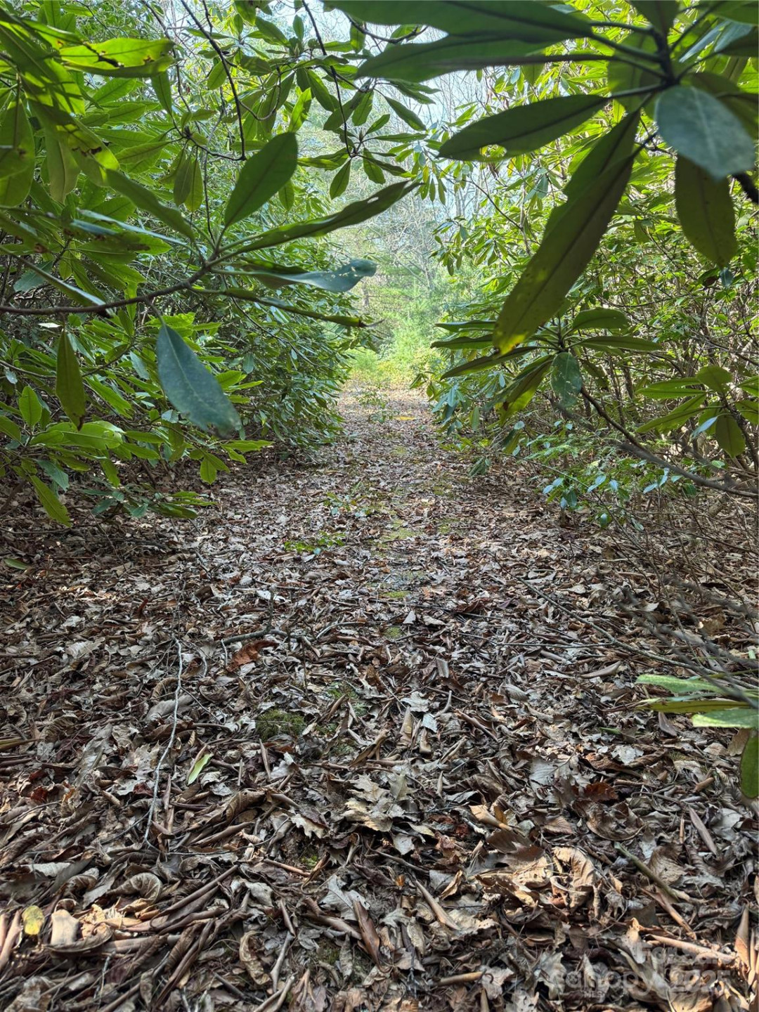 7797 Huskins Drive - Photo 3