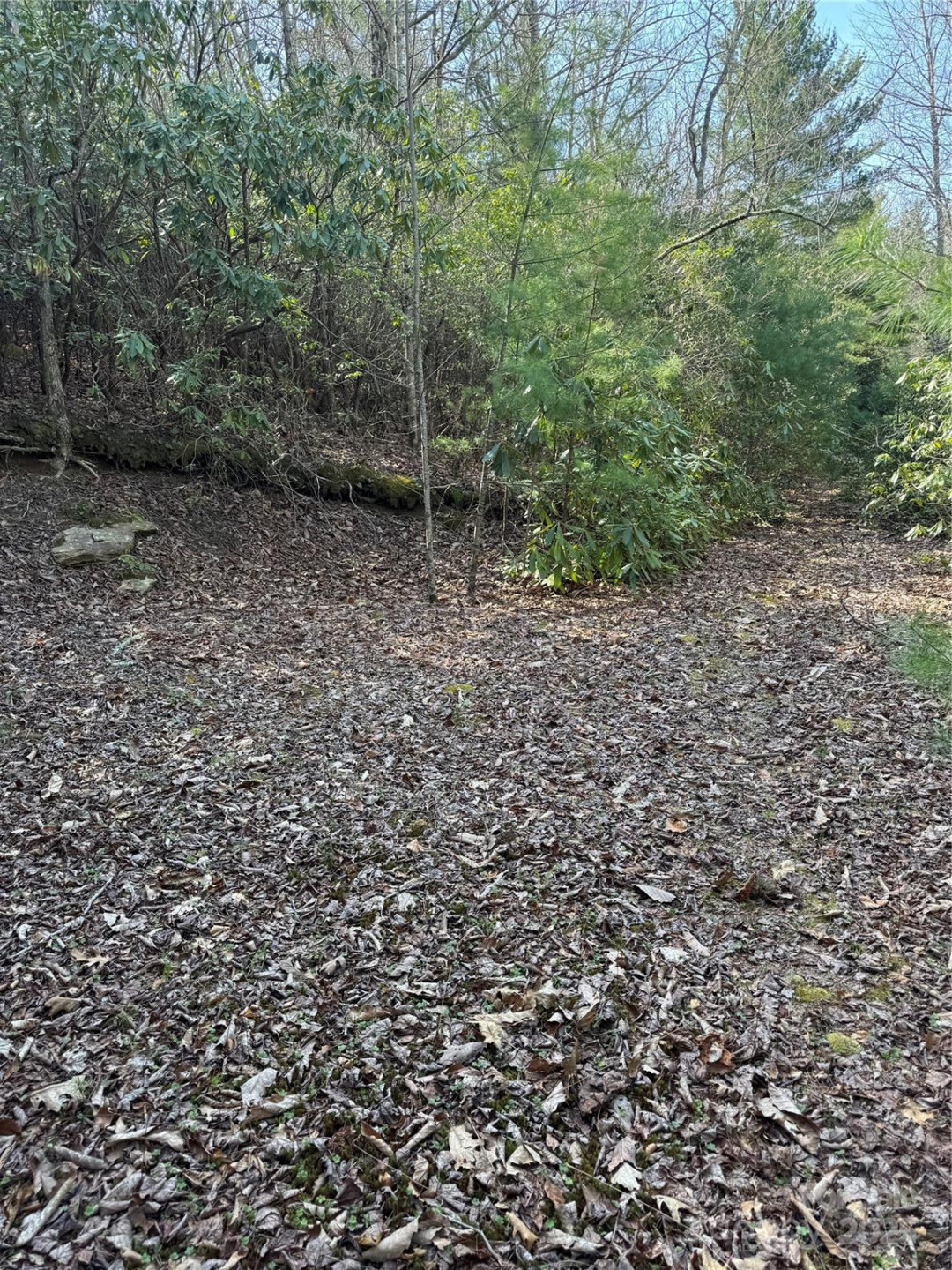 7797 Huskins Drive - Photo 5