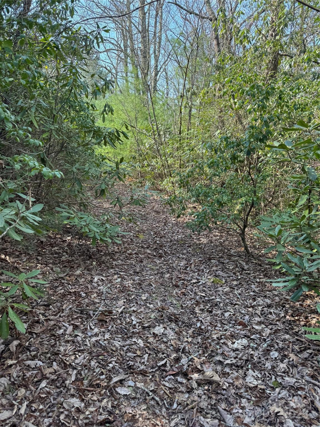 7797 Huskins Drive - Photo 6