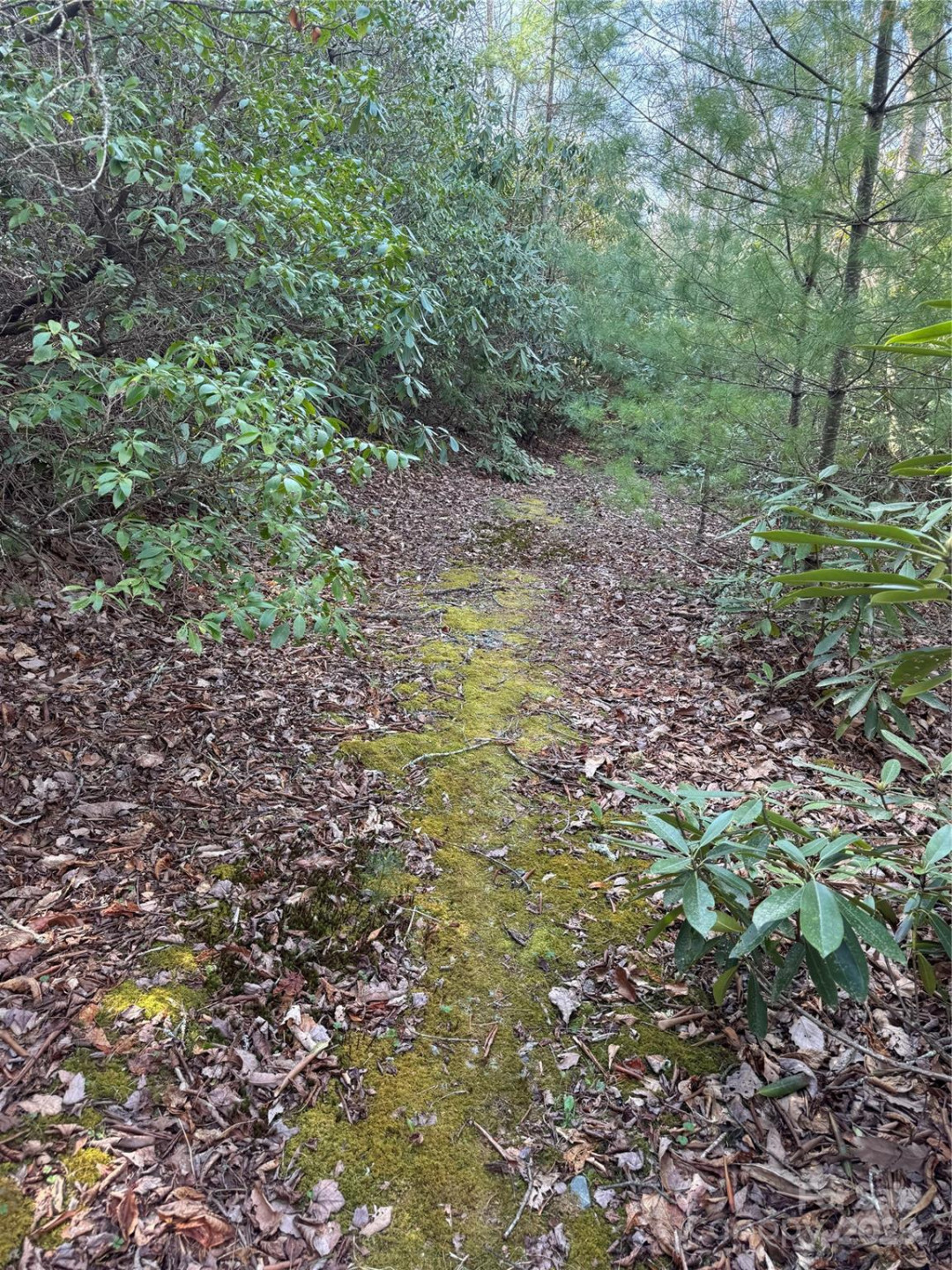 7797 Huskins Drive - Photo 7