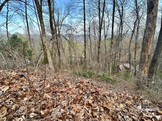 Lot 6 Biltmore Circle, Bryson City, NC, 28713