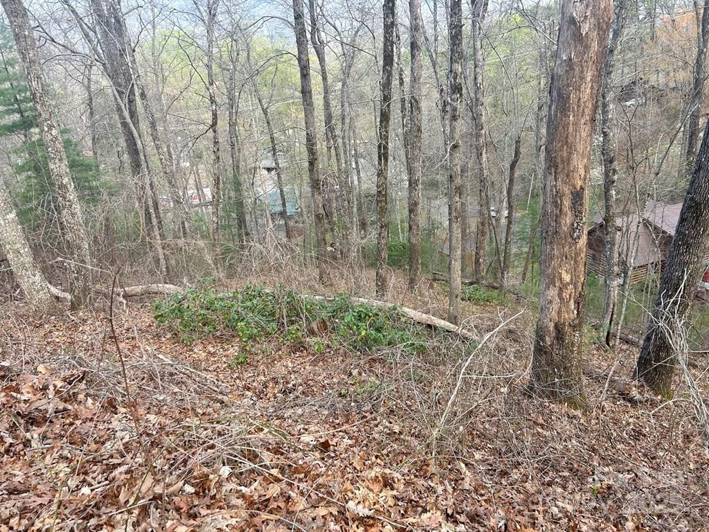 Lot 6 Biltmore Circle #6 - Photo 2