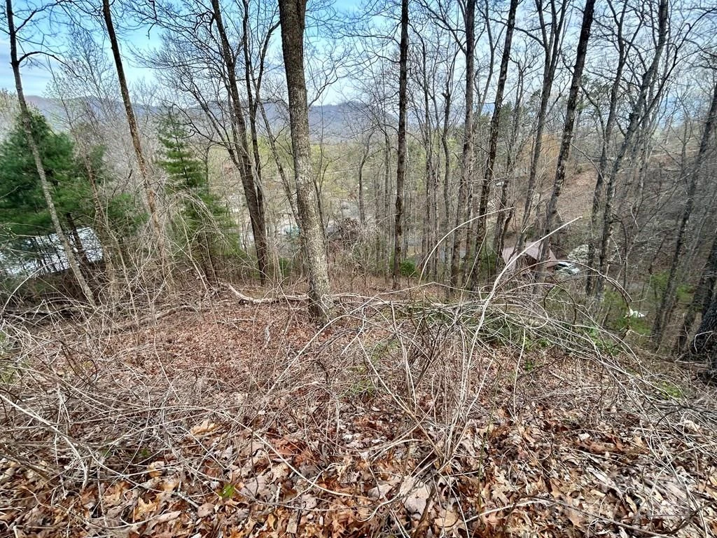 Lot 6 Biltmore Circle #6 - Photo 3