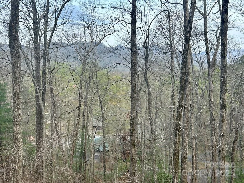 Lot 6 Biltmore Circle #6 - Photo 4