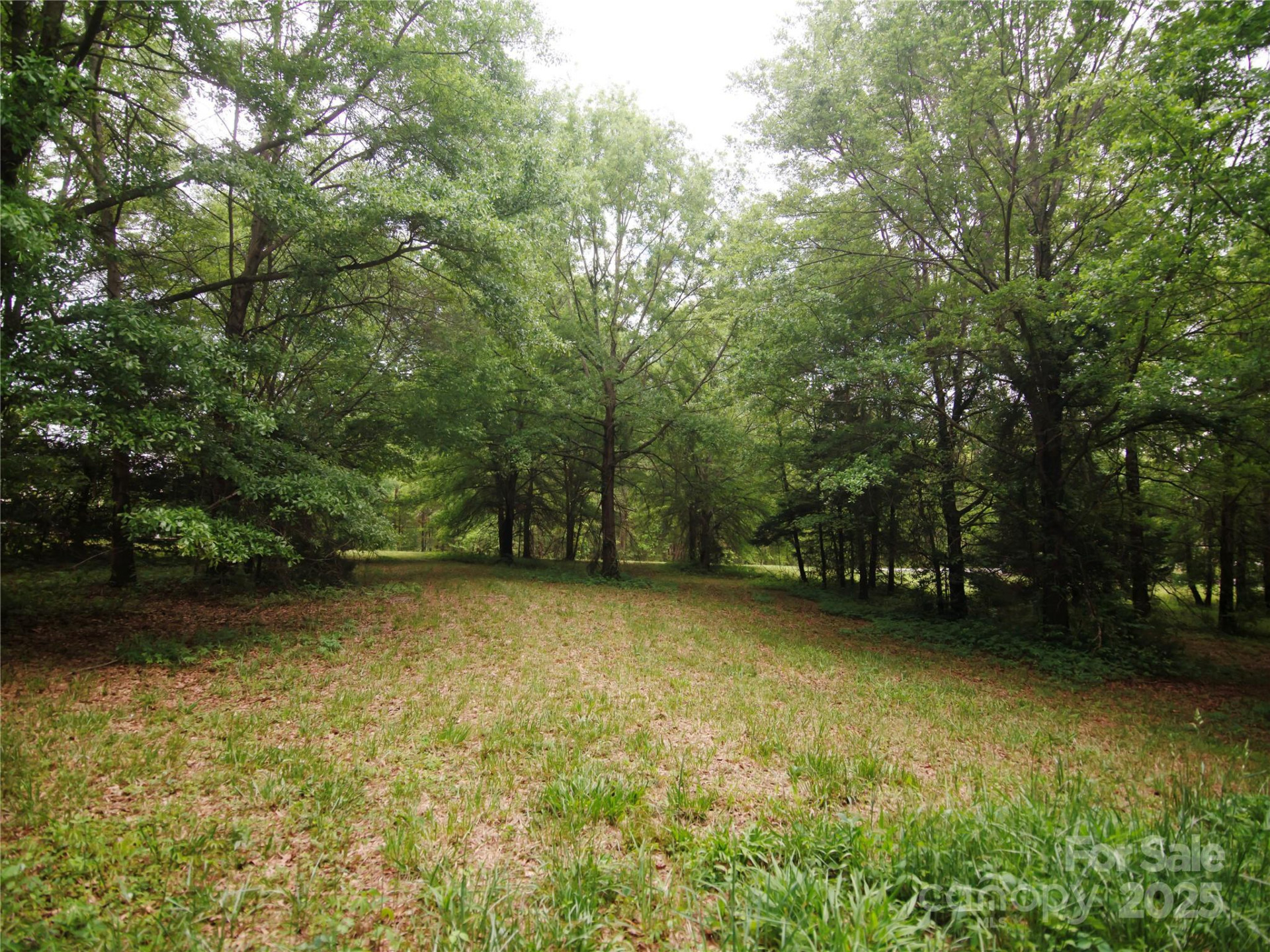 0 Ole Plantation Drive - Photo 22