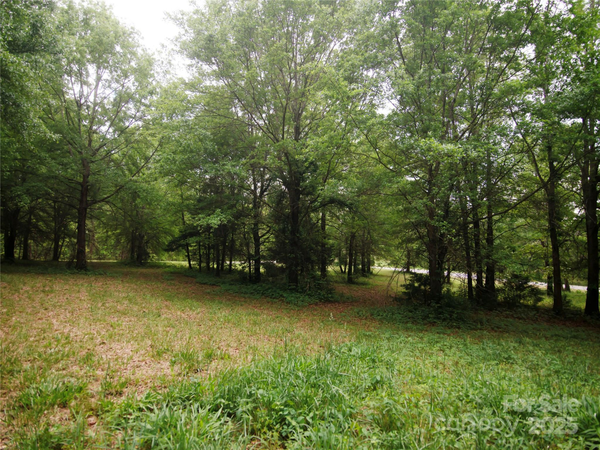 0 Ole Plantation Drive - Photo 23