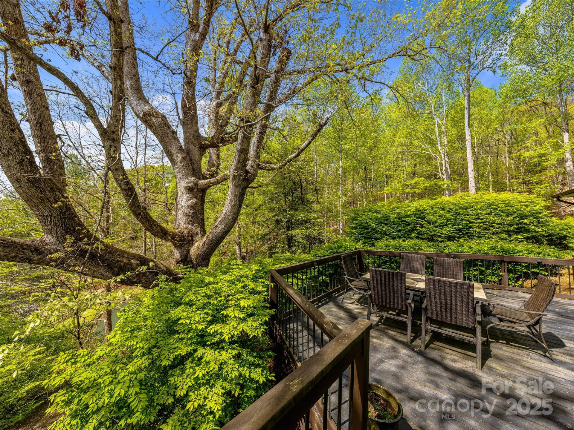 74 Solar Lane - Photo 12