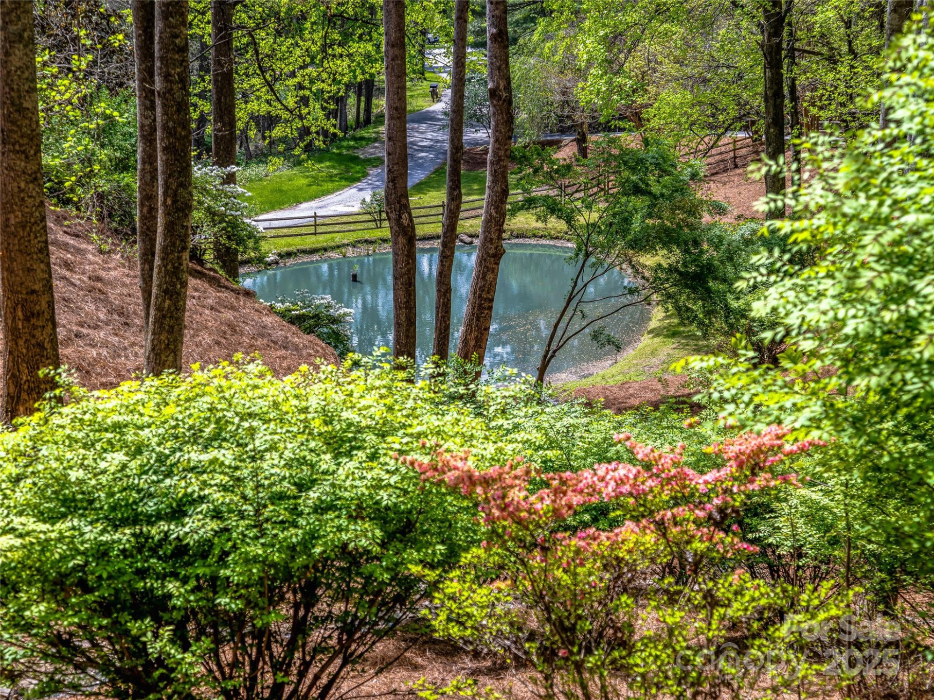 74 Solar Lane - Photo 3