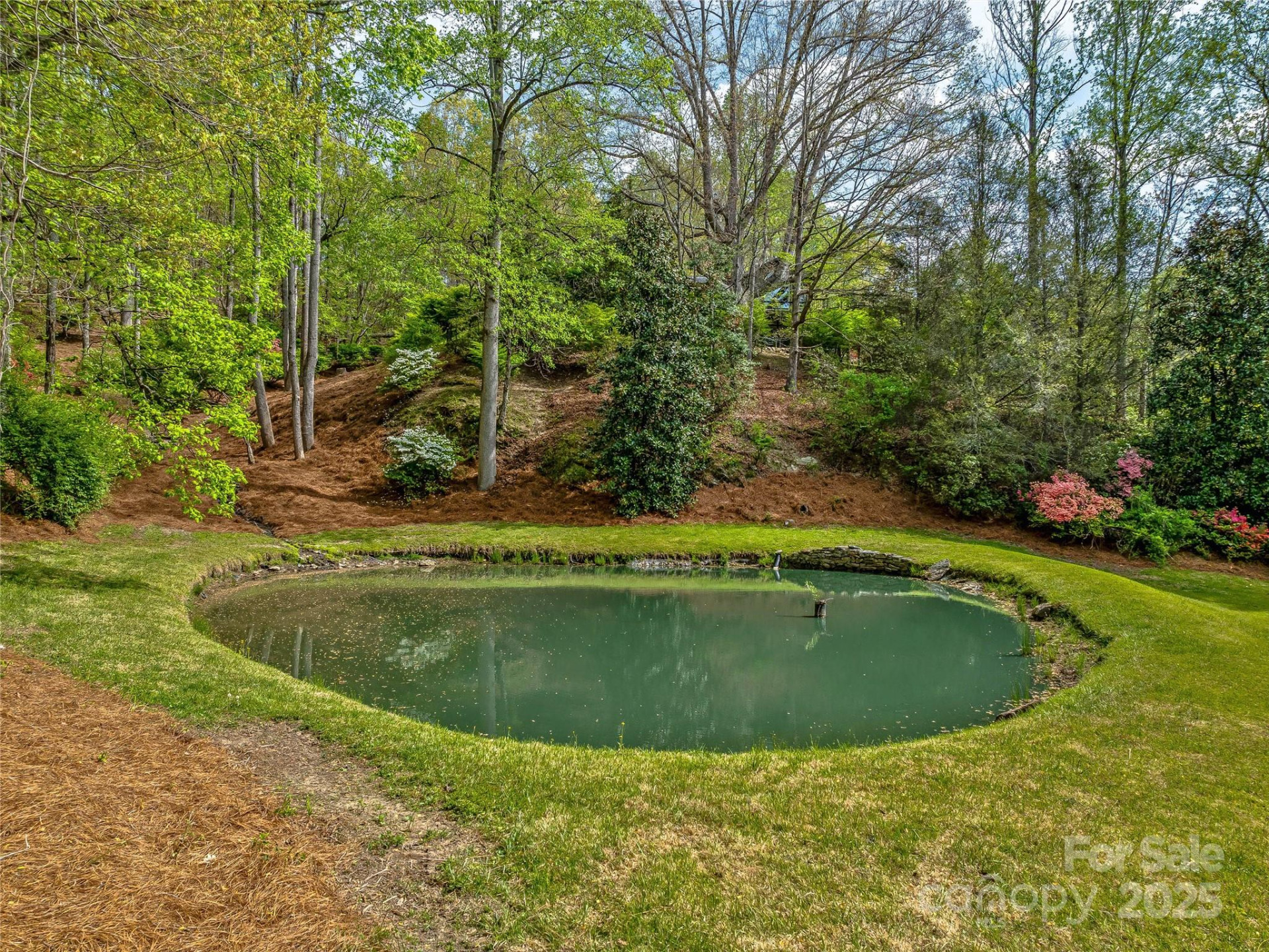 74 Solar Lane - Photo 8