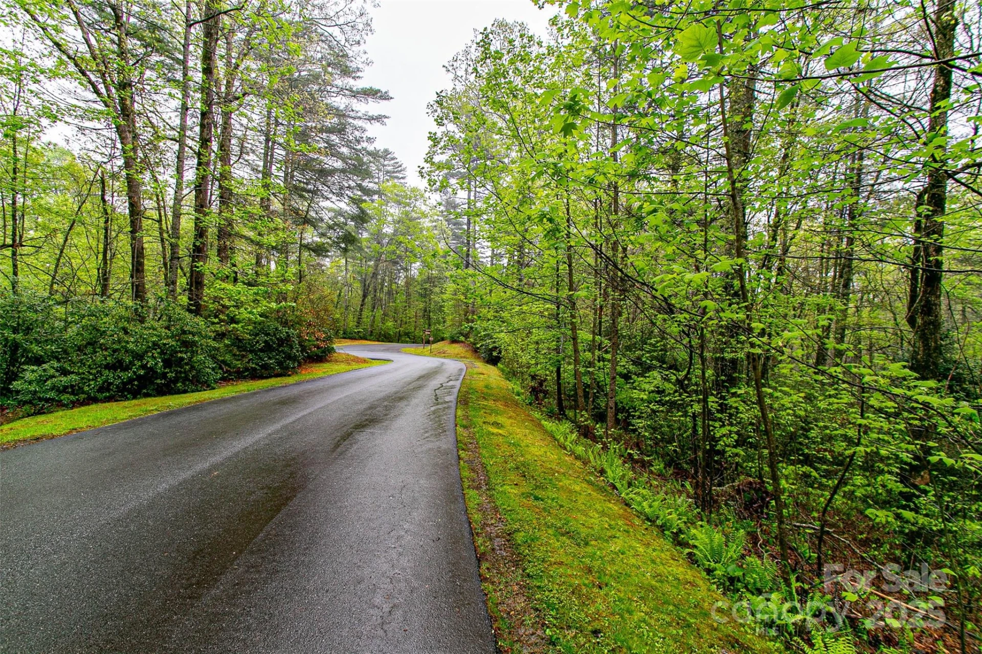 TBD High Hemlock Trail #46