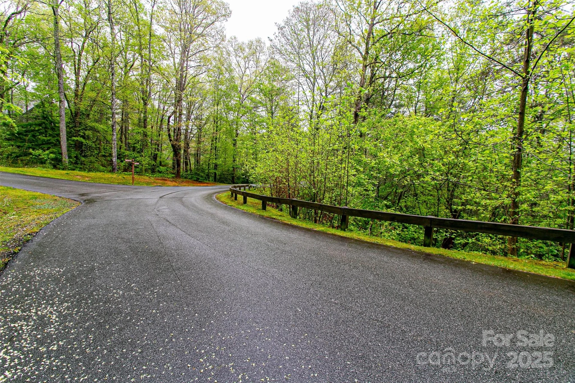 TBD High Hemlock Trail #46 - Photo 2