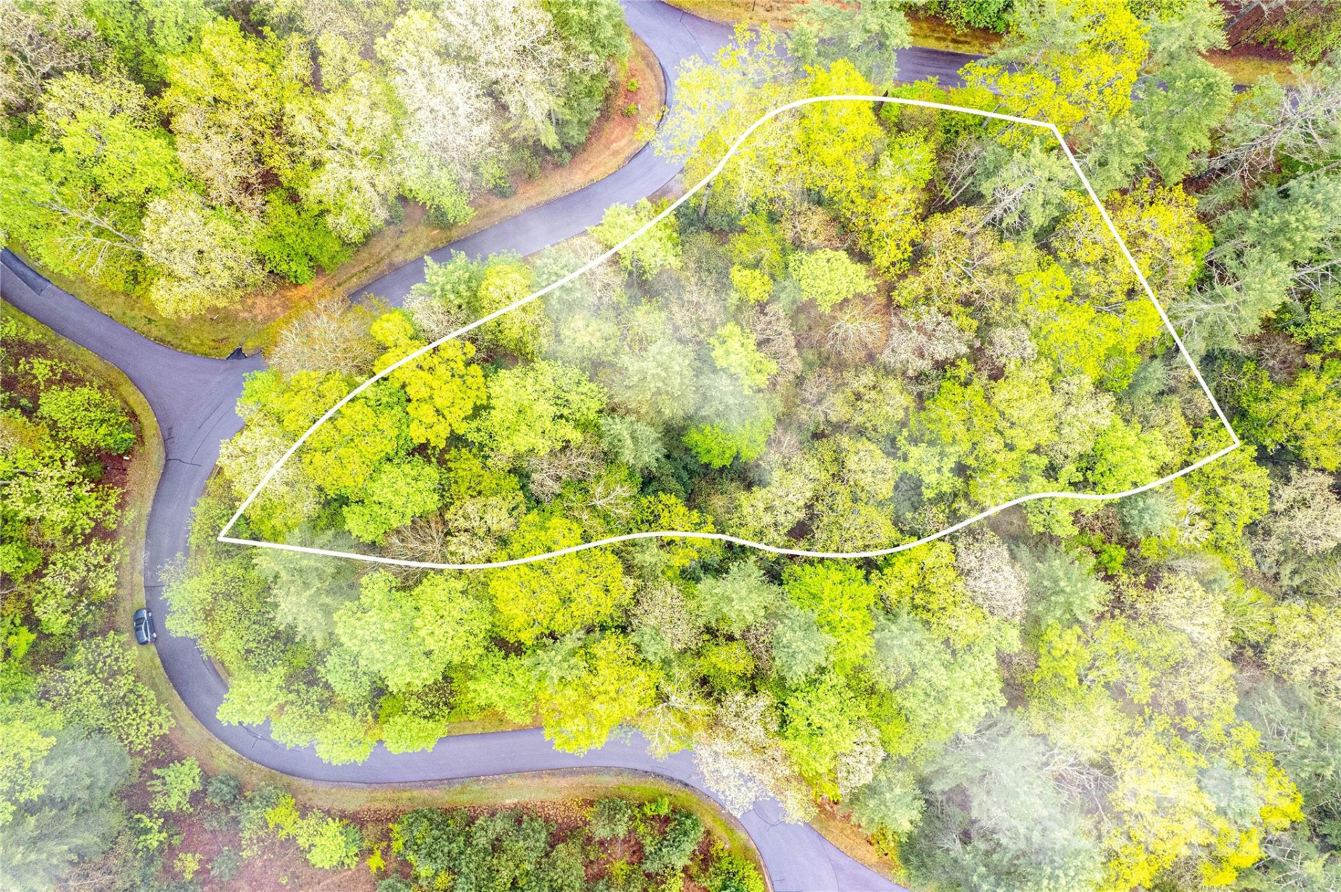 TBD High Hemlock Trail #46 - Photo 12