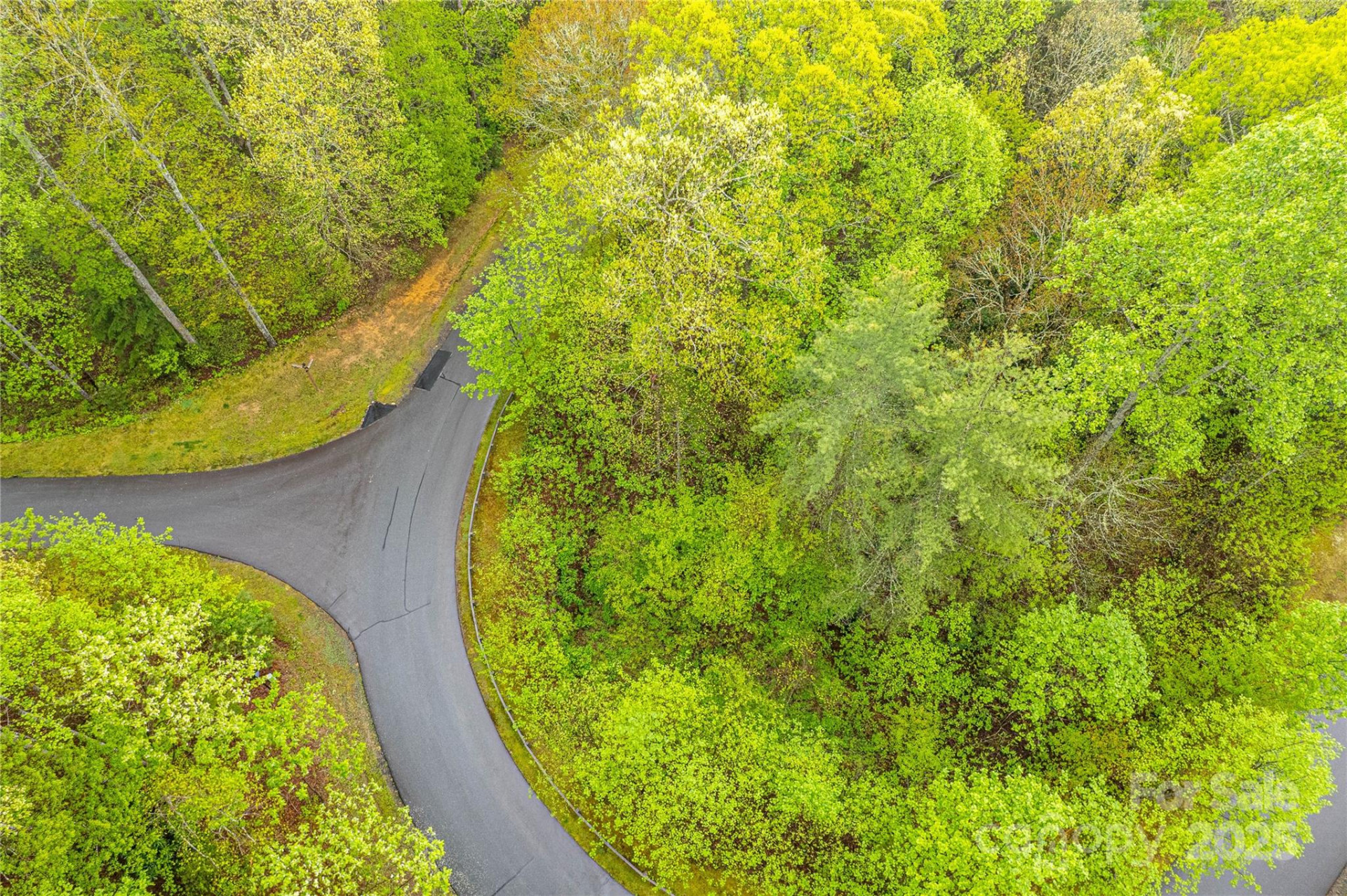 TBD High Hemlock Trail #46 - Photo 13