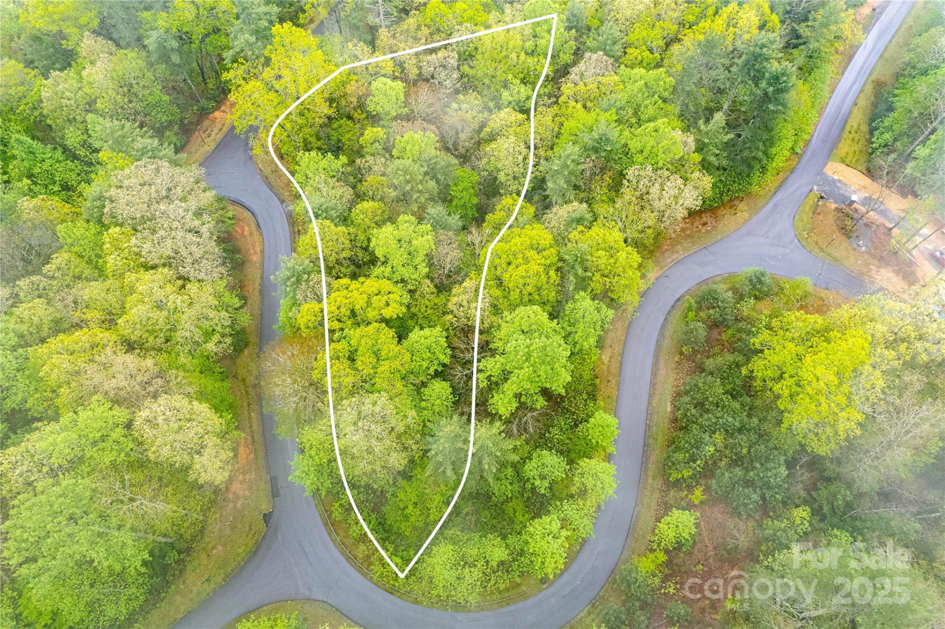 TBD High Hemlock Trail #46 - Photo 14