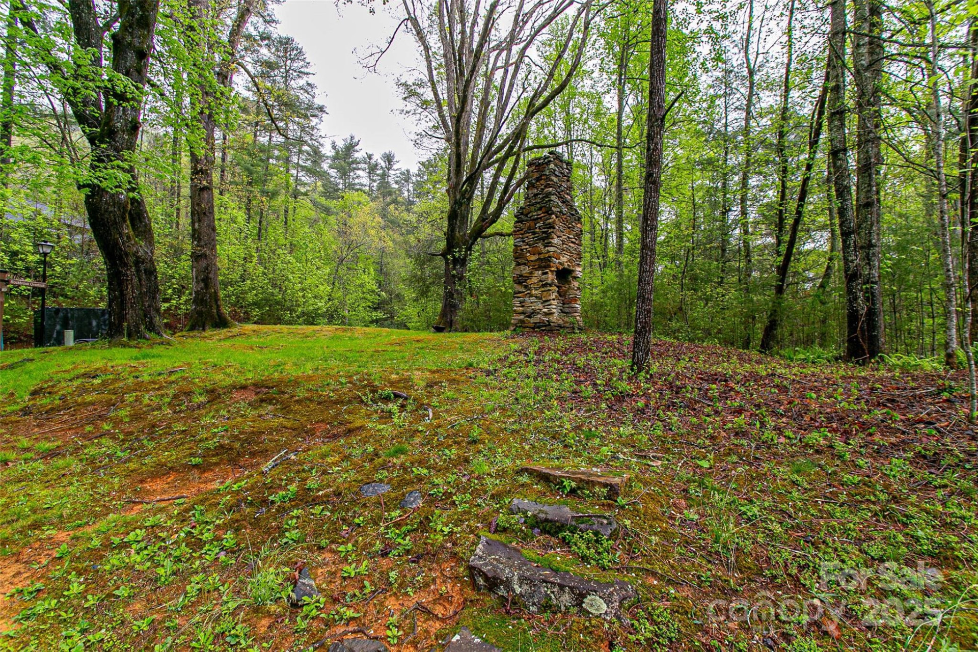 TBD High Hemlock Trail #46 - Photo 16