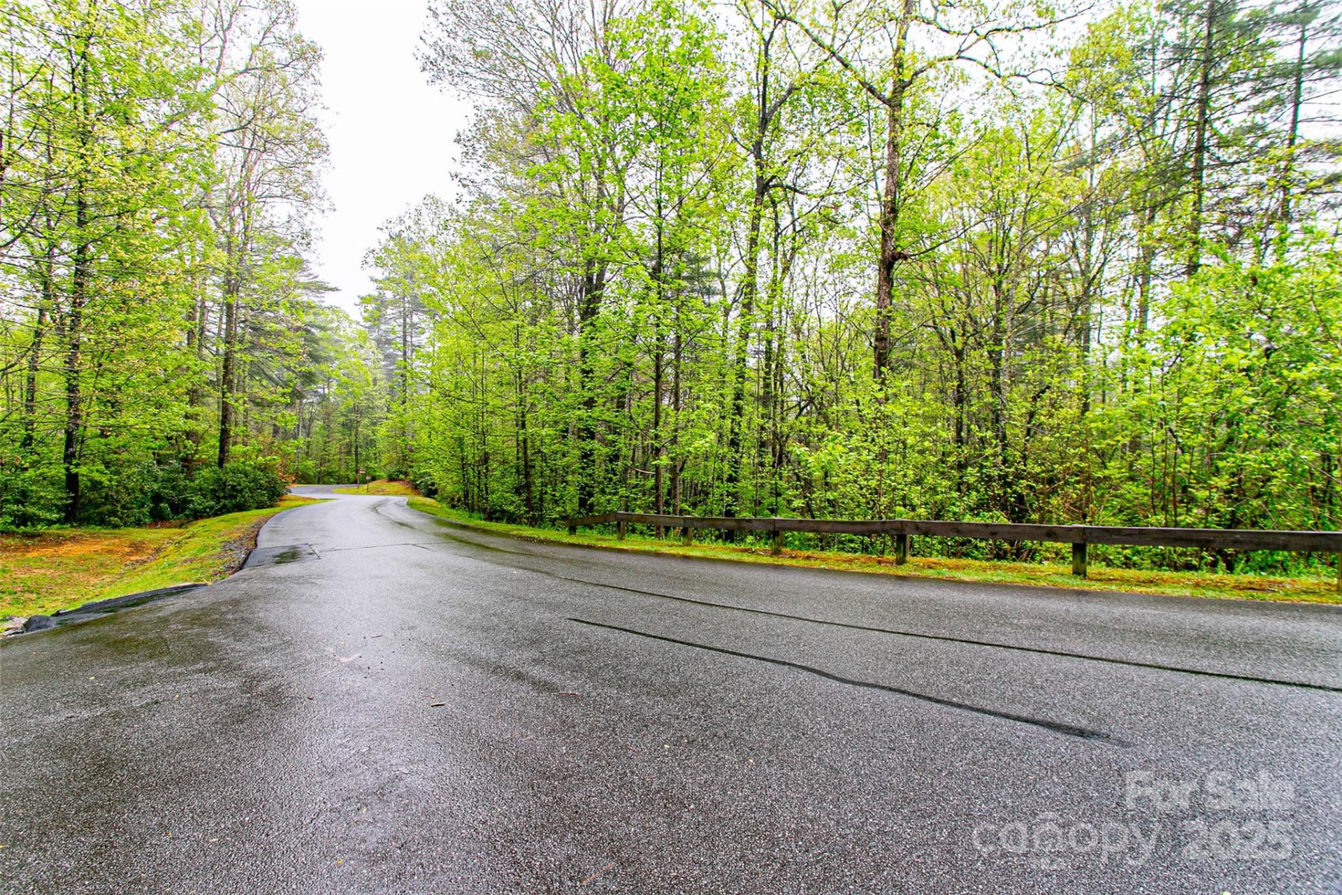 TBD High Hemlock Trail #46 - Photo 3