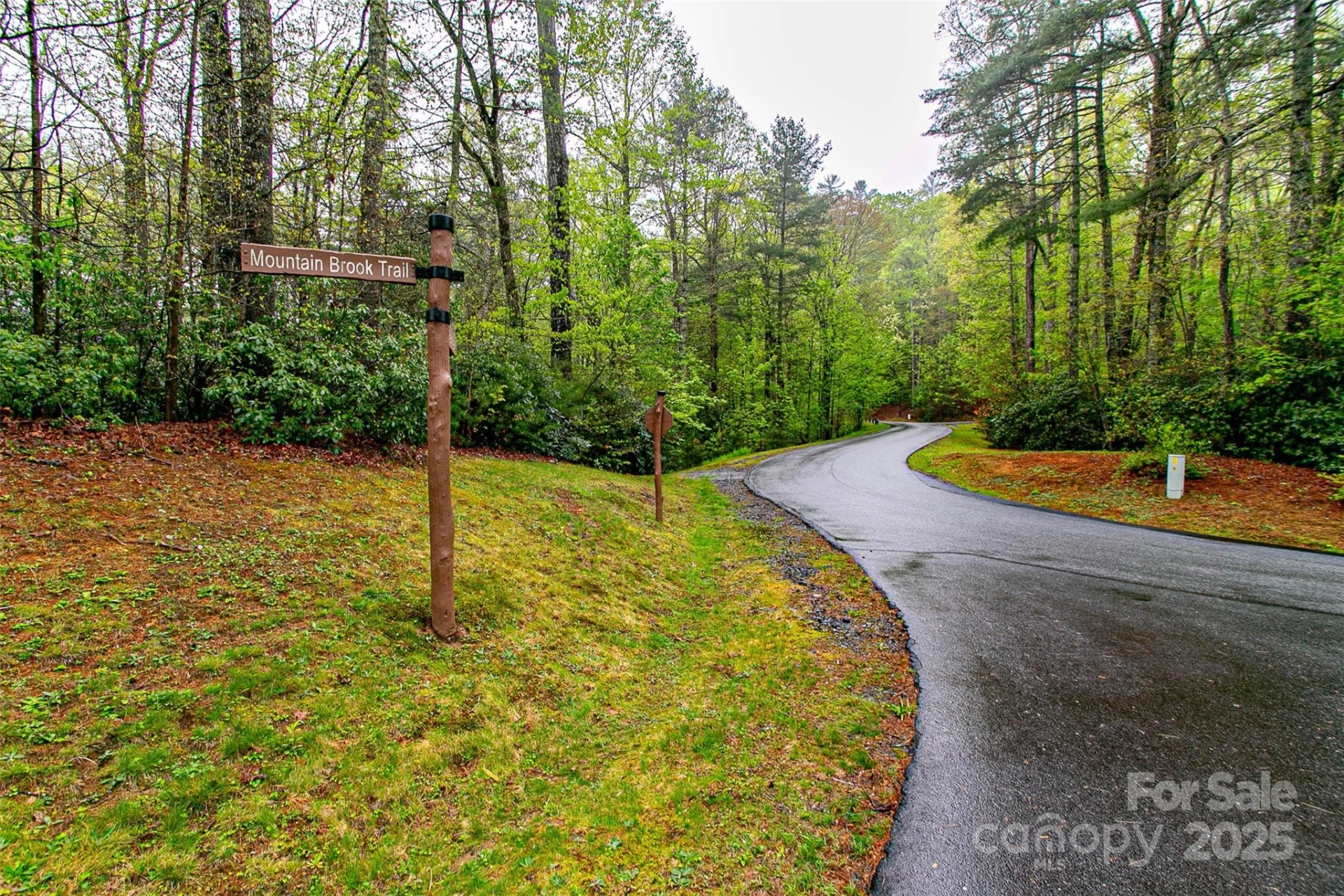 TBD High Hemlock Trail #46 - Photo 6