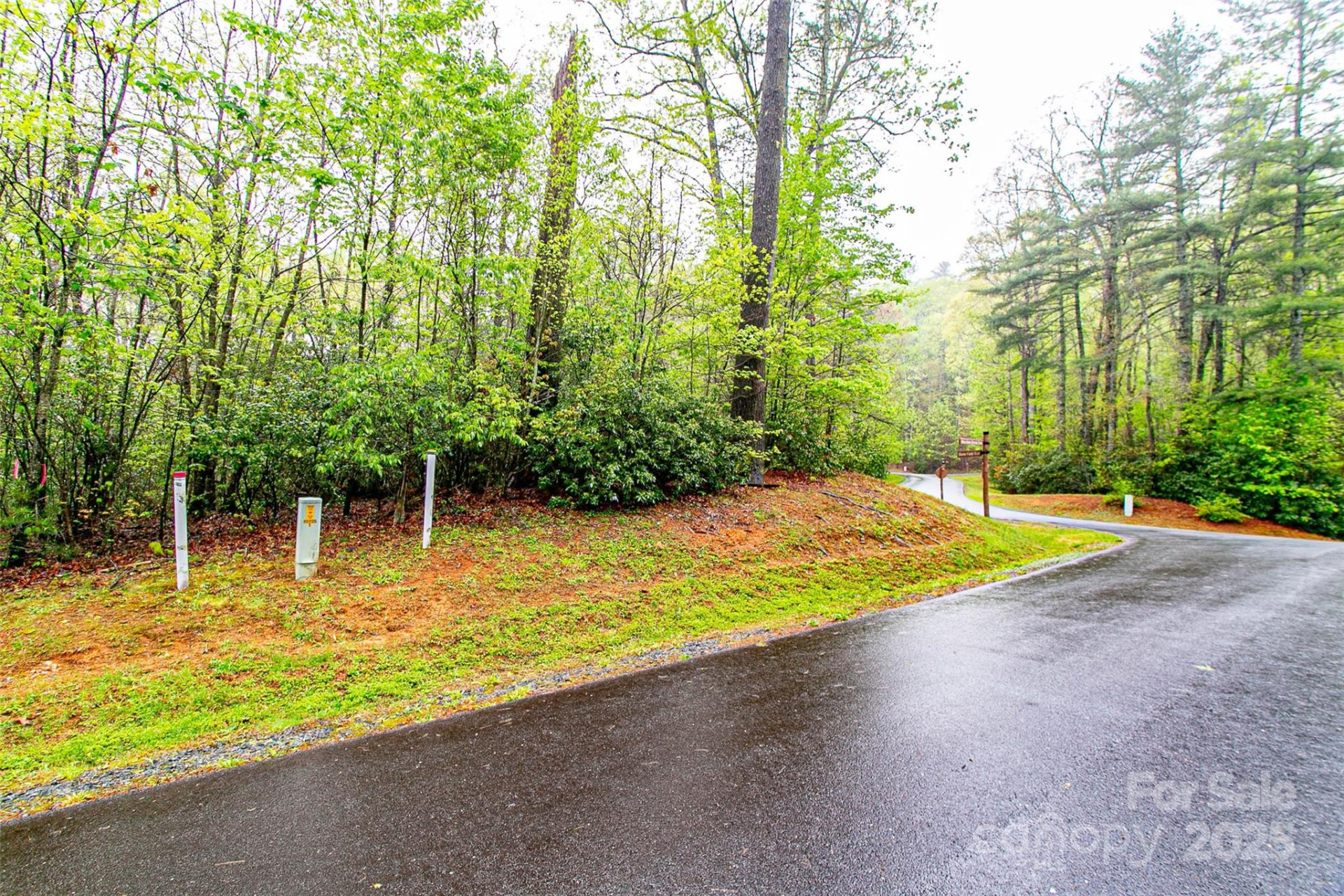 TBD High Hemlock Trail #46 - Photo 7