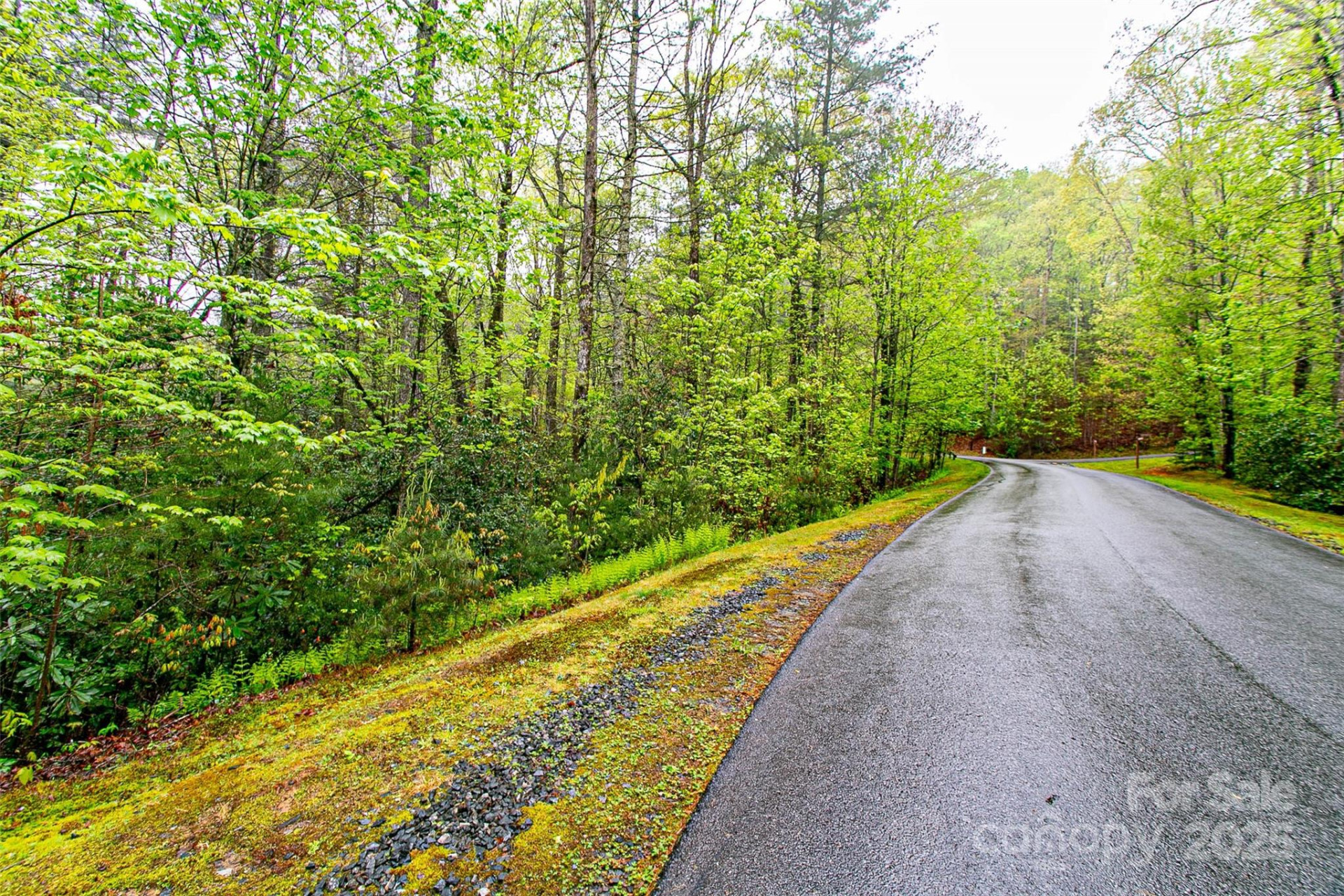 TBD High Hemlock Trail #46 - Photo 8