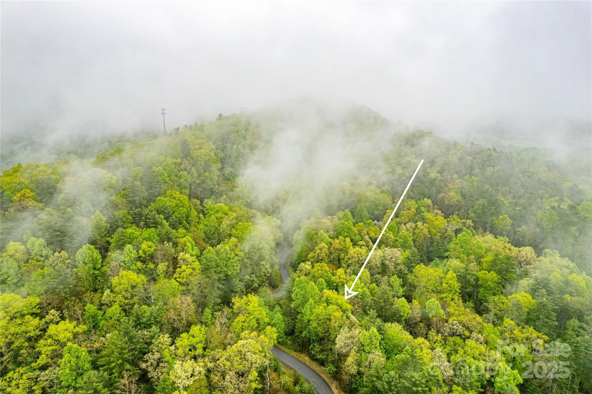 TBD High Hemlock Trail #46 - Photo 9