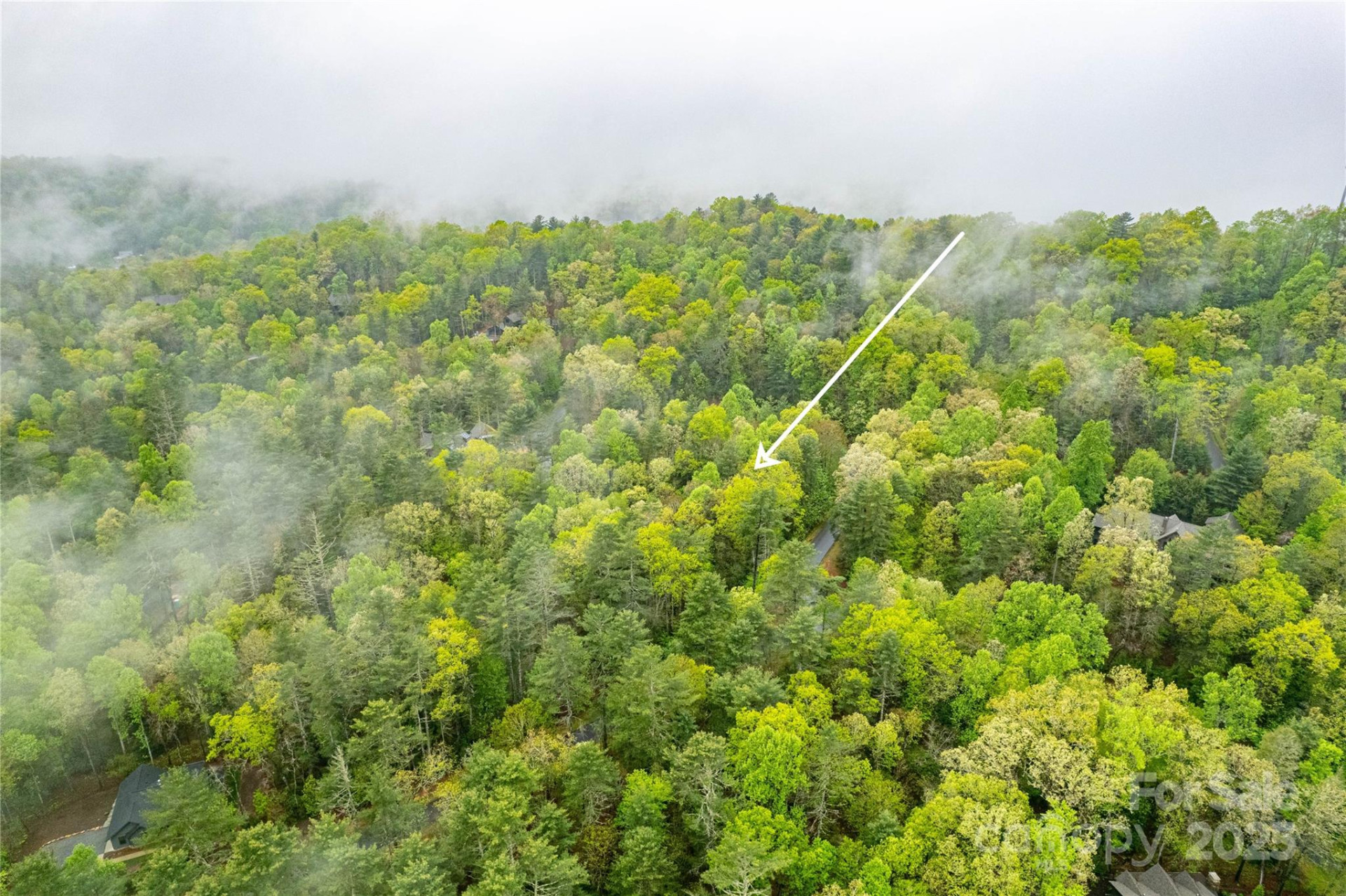 TBD High Hemlock Trail #46 - Photo 10