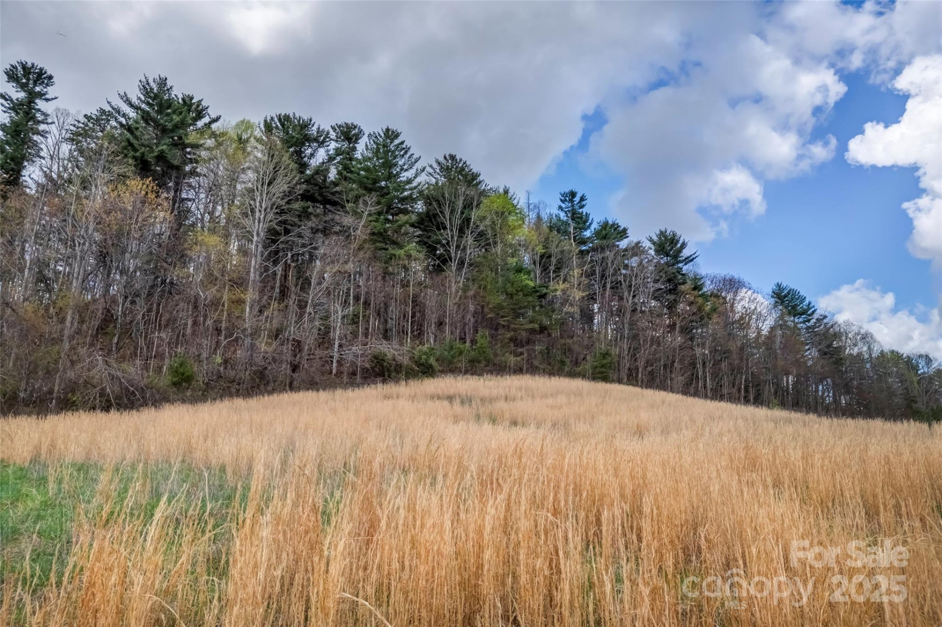 000 Union Hill Road - Photo 2