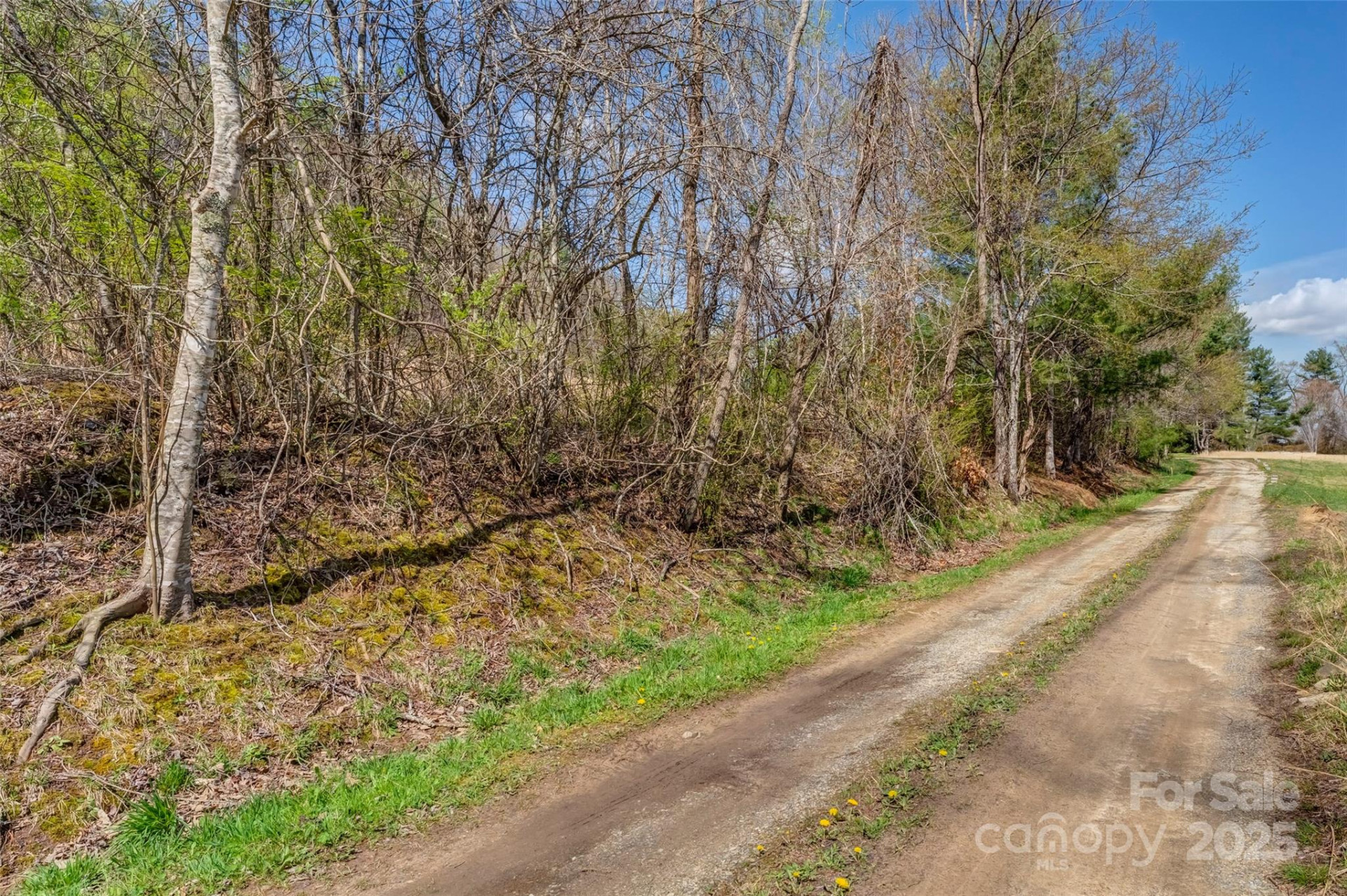 000 Union Hill Road - Photo 12