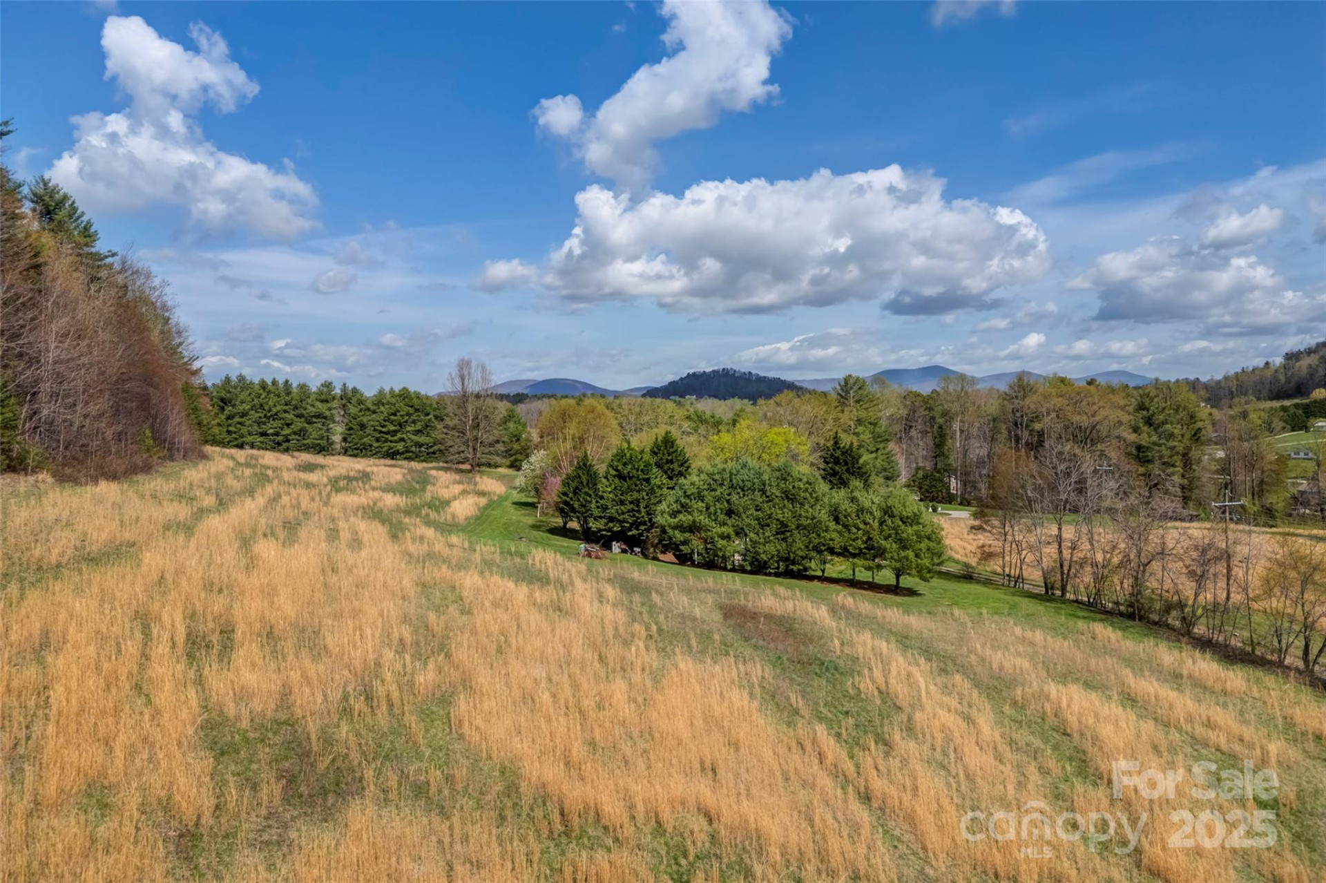 000 Union Hill Road - Photo 3