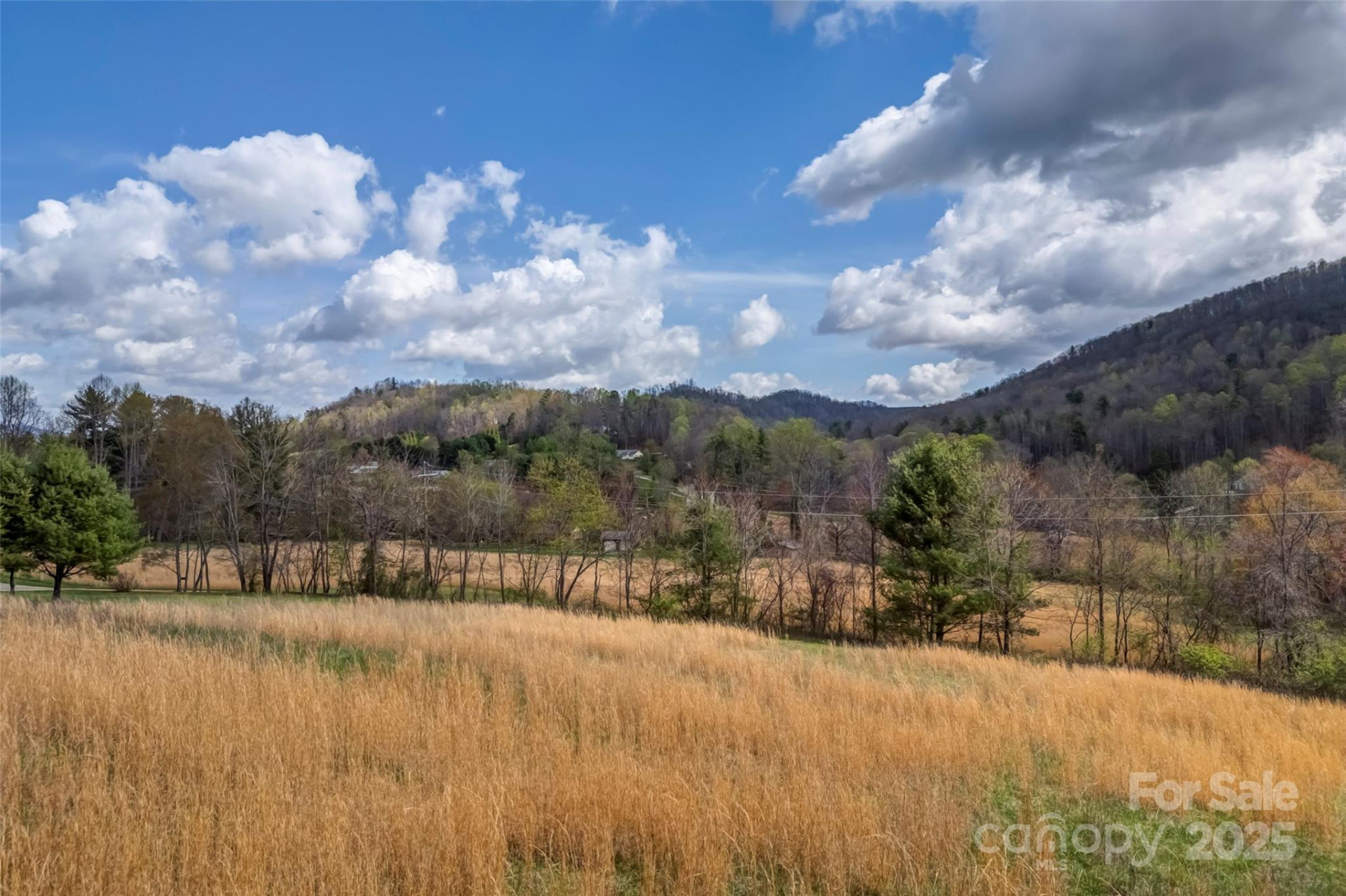 000 Union Hill Road - Photo 4